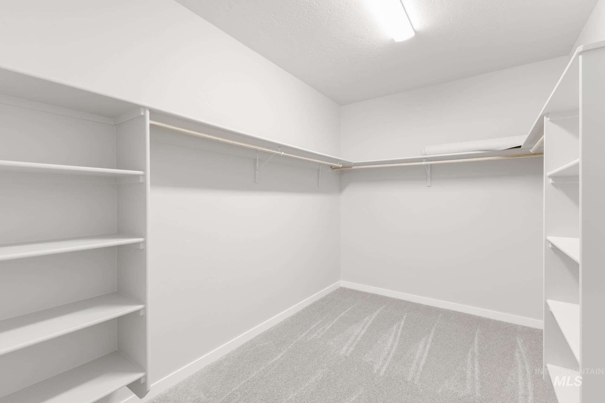 Walk in closet featuring light carpet