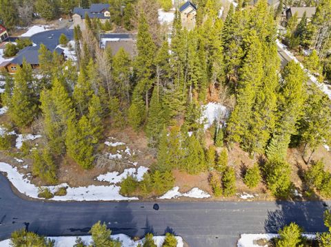 Photo of 12 Golden Eagle Court, Donnelly, ID 83615 (MLS # 98978123)