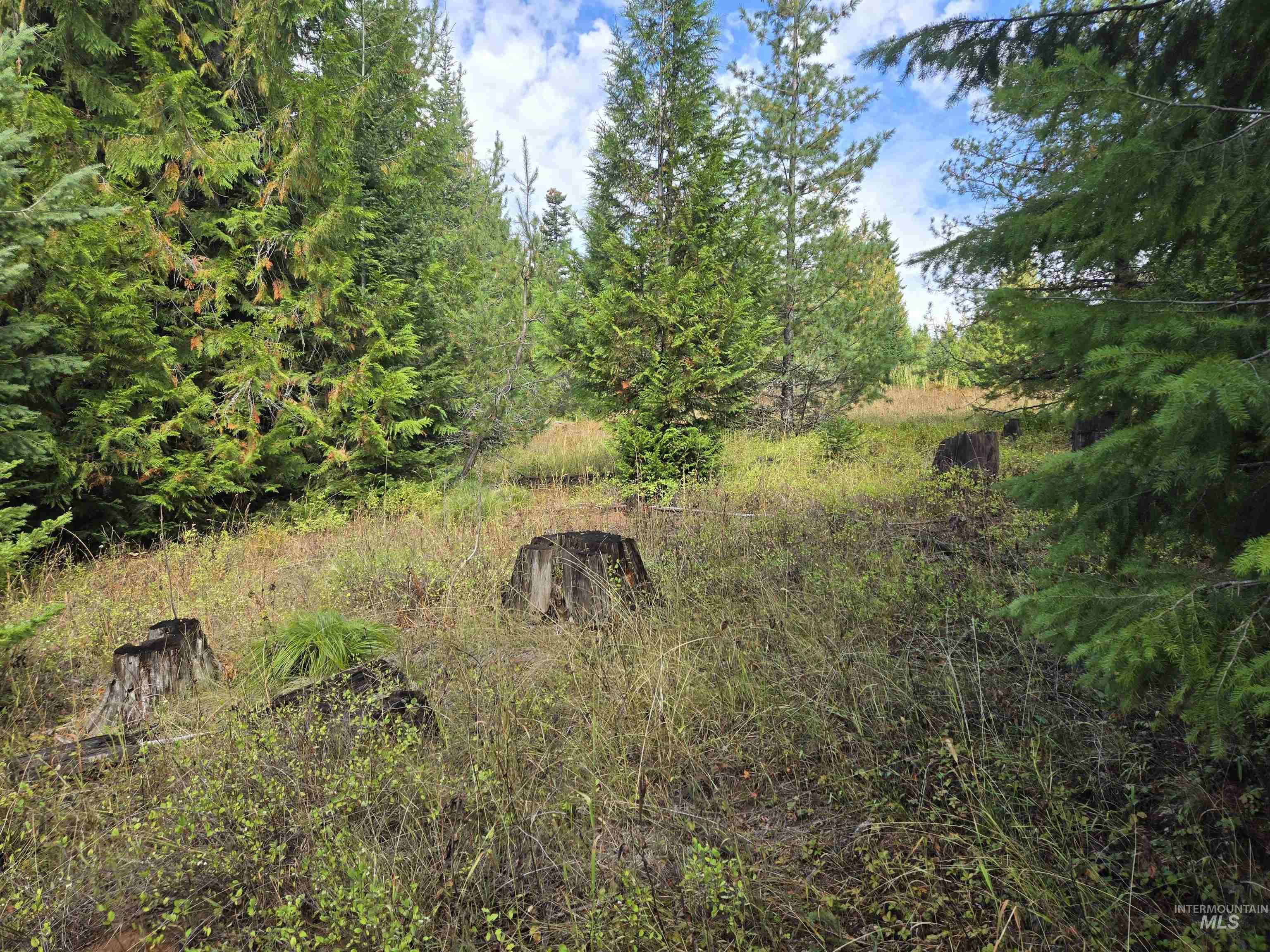 TBD #7 Hjalmar Johnson Road