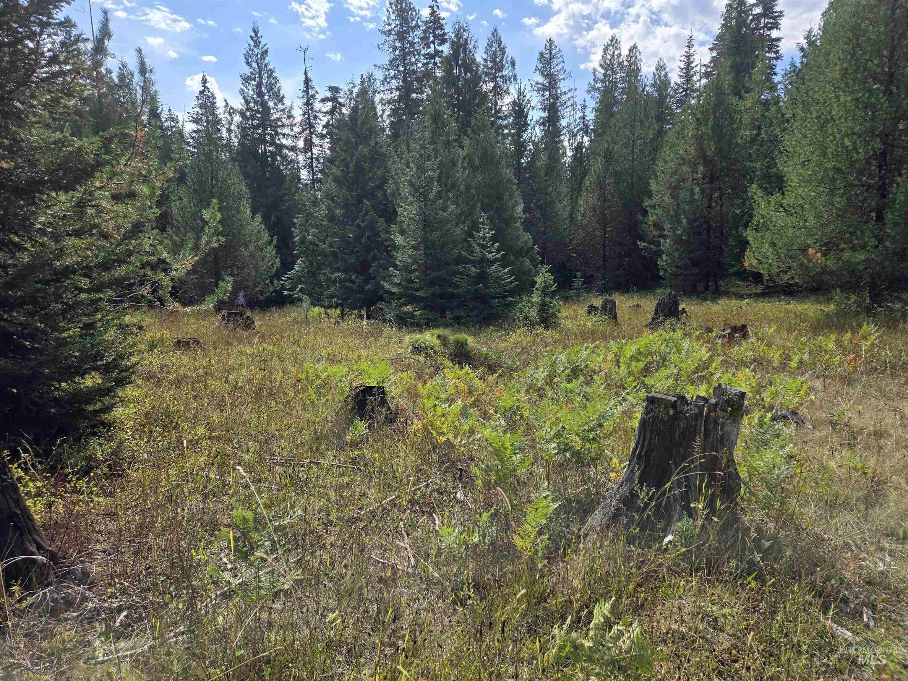 TBD #7 Hjalmar Johnson Road