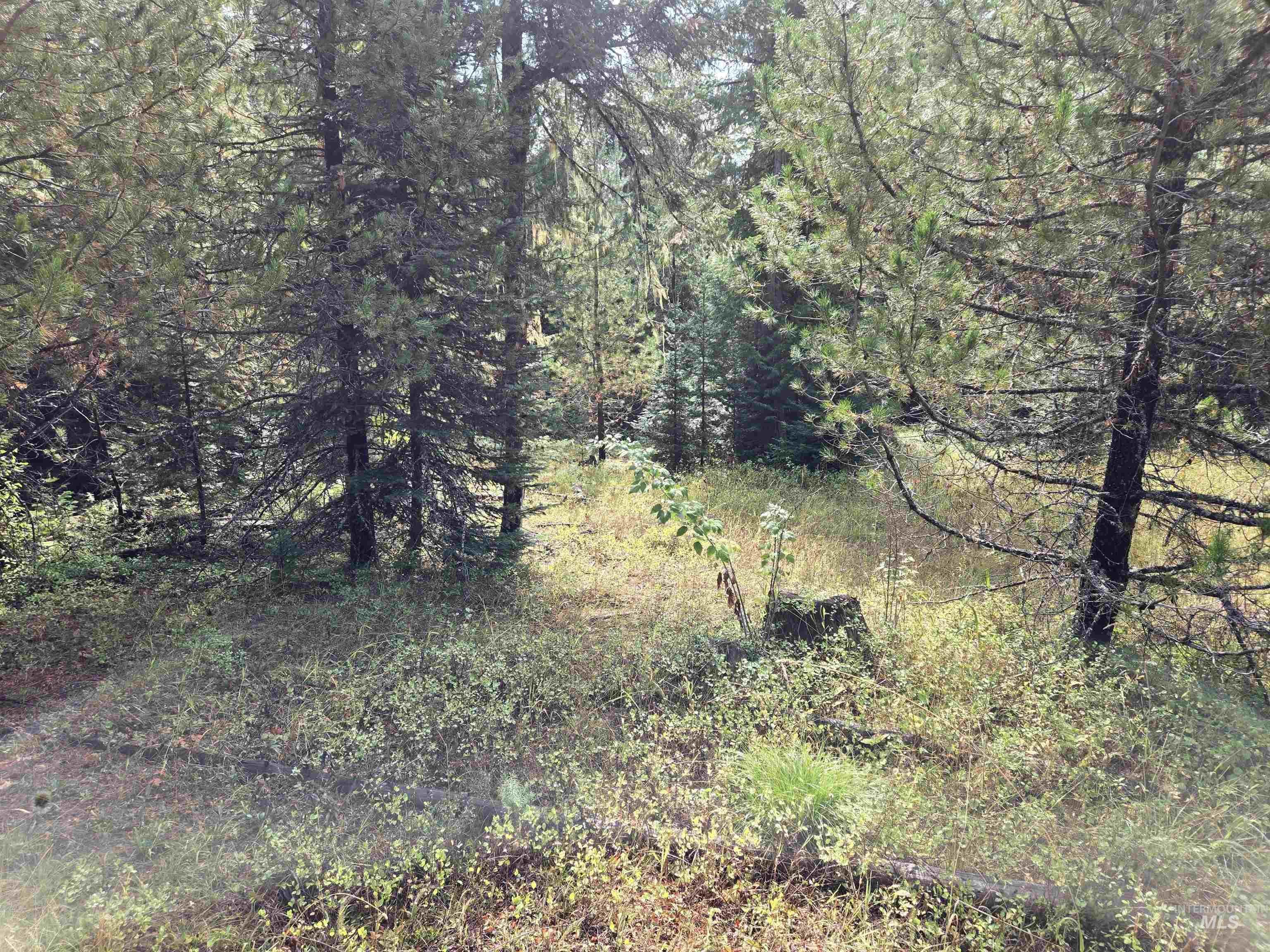 TBD #7 Hjalmar Johnson Road