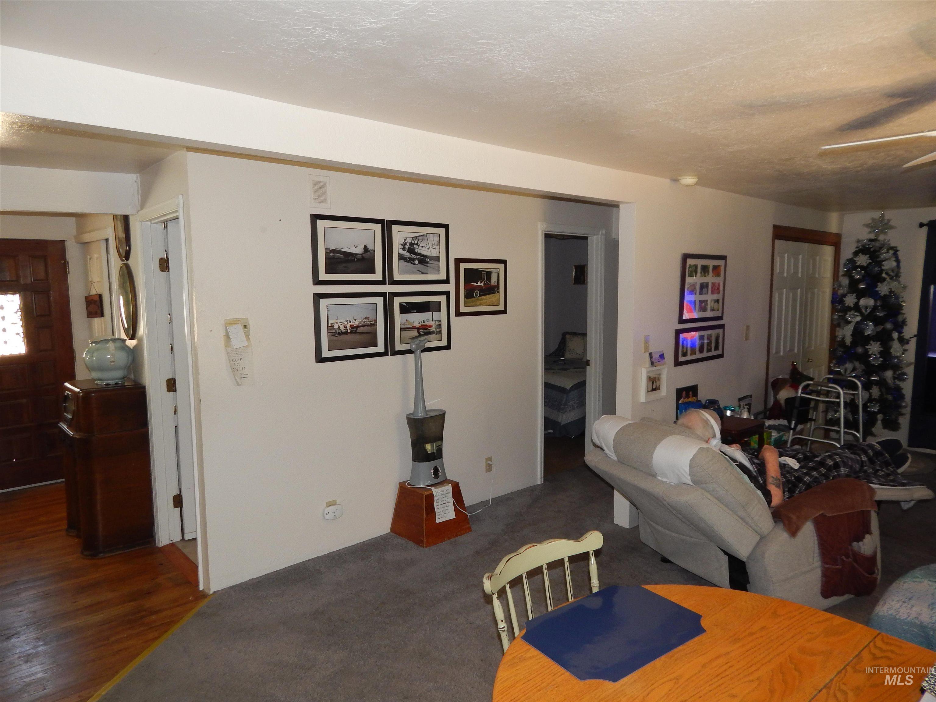 Living room featuring ceiling fan and a textured ceiling