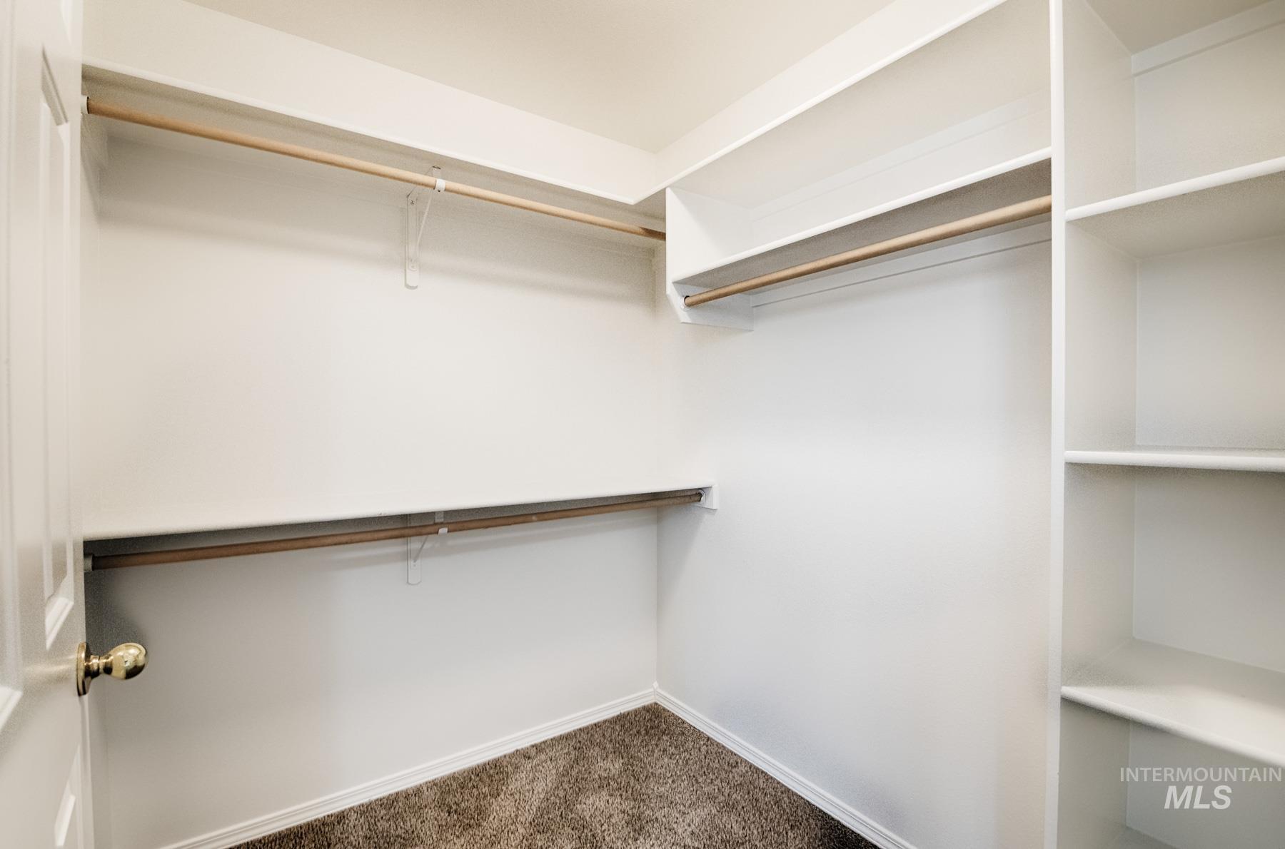 Spacious closet featuring dark carpet