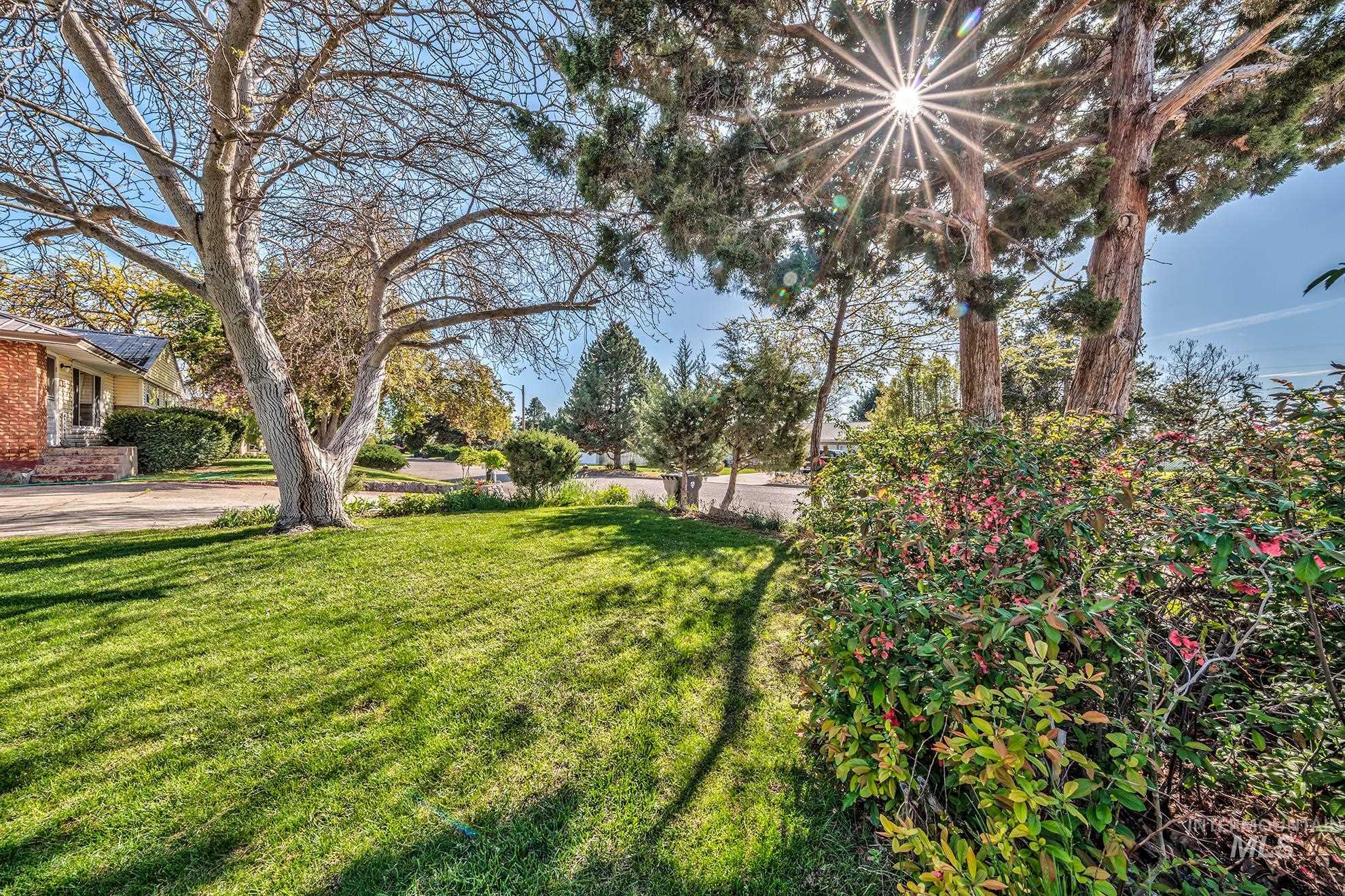 View of grassy yard