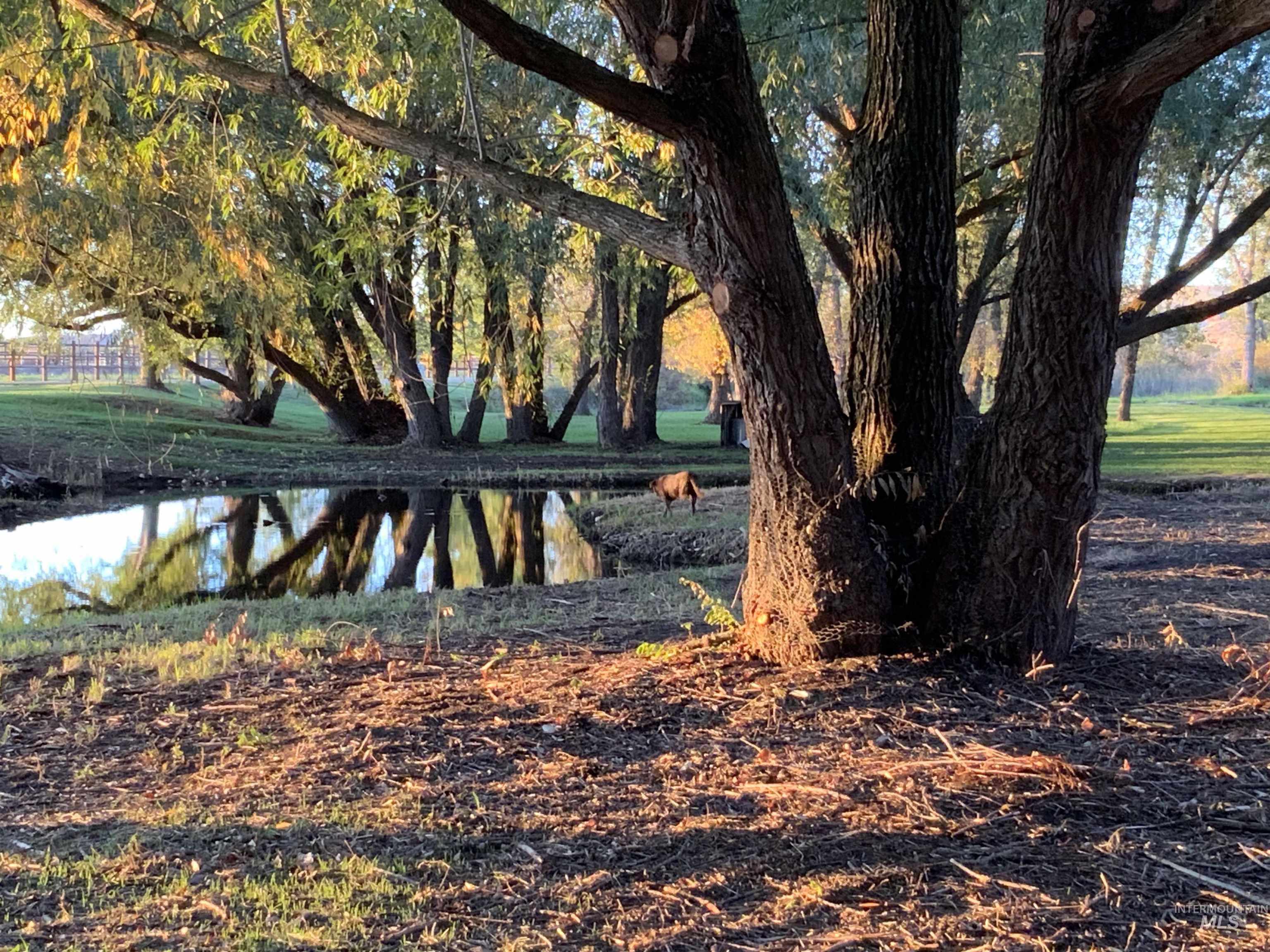 View of home's community with a water view