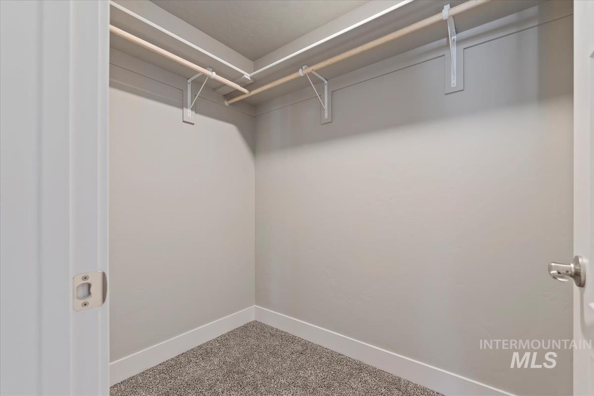Spacious closet featuring carpet floors