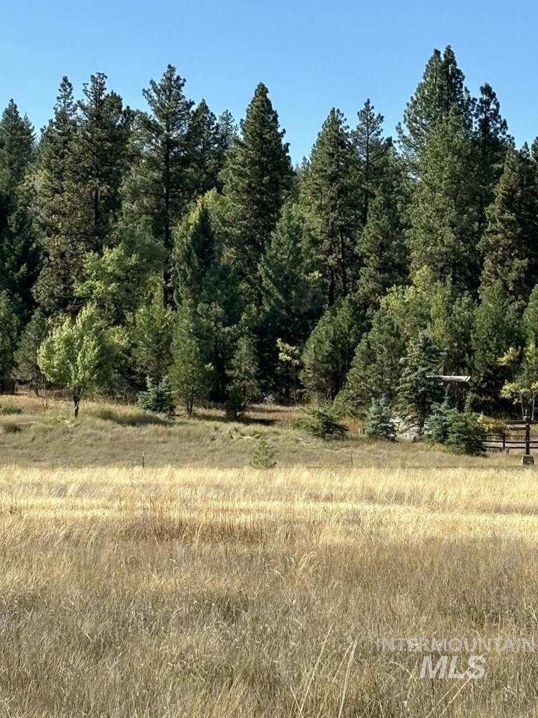 View of wooded area with a view of rural / pastoral area