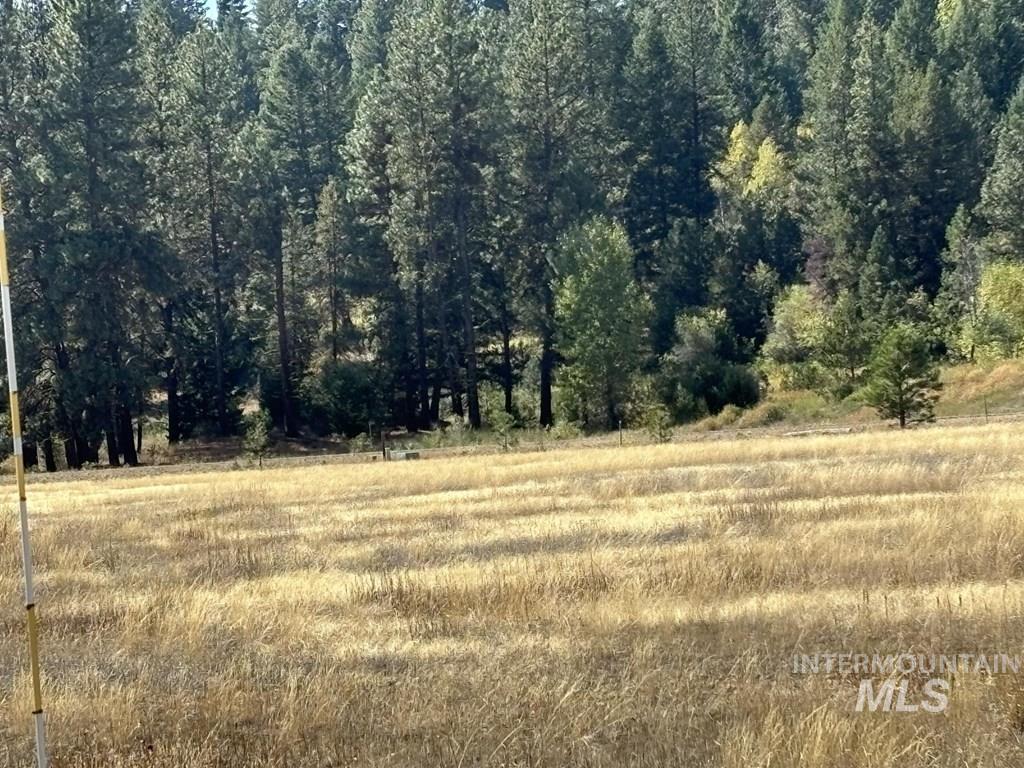 View of wooded area featuring a view of rural / pastoral area
