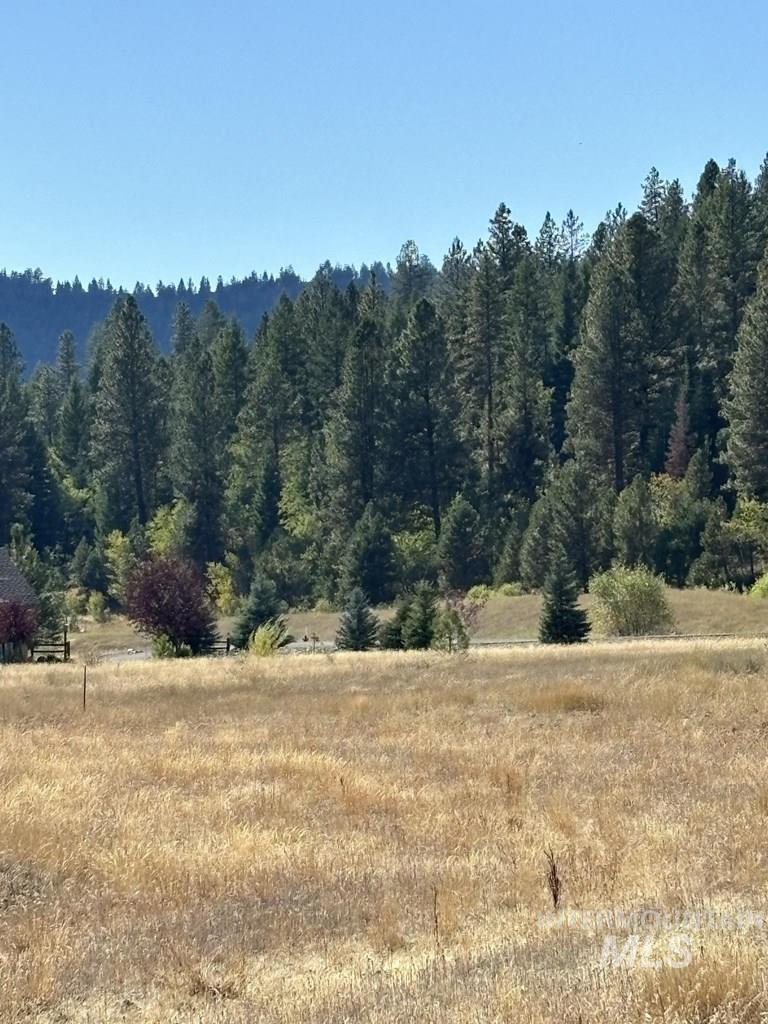 View of woods with a rural view