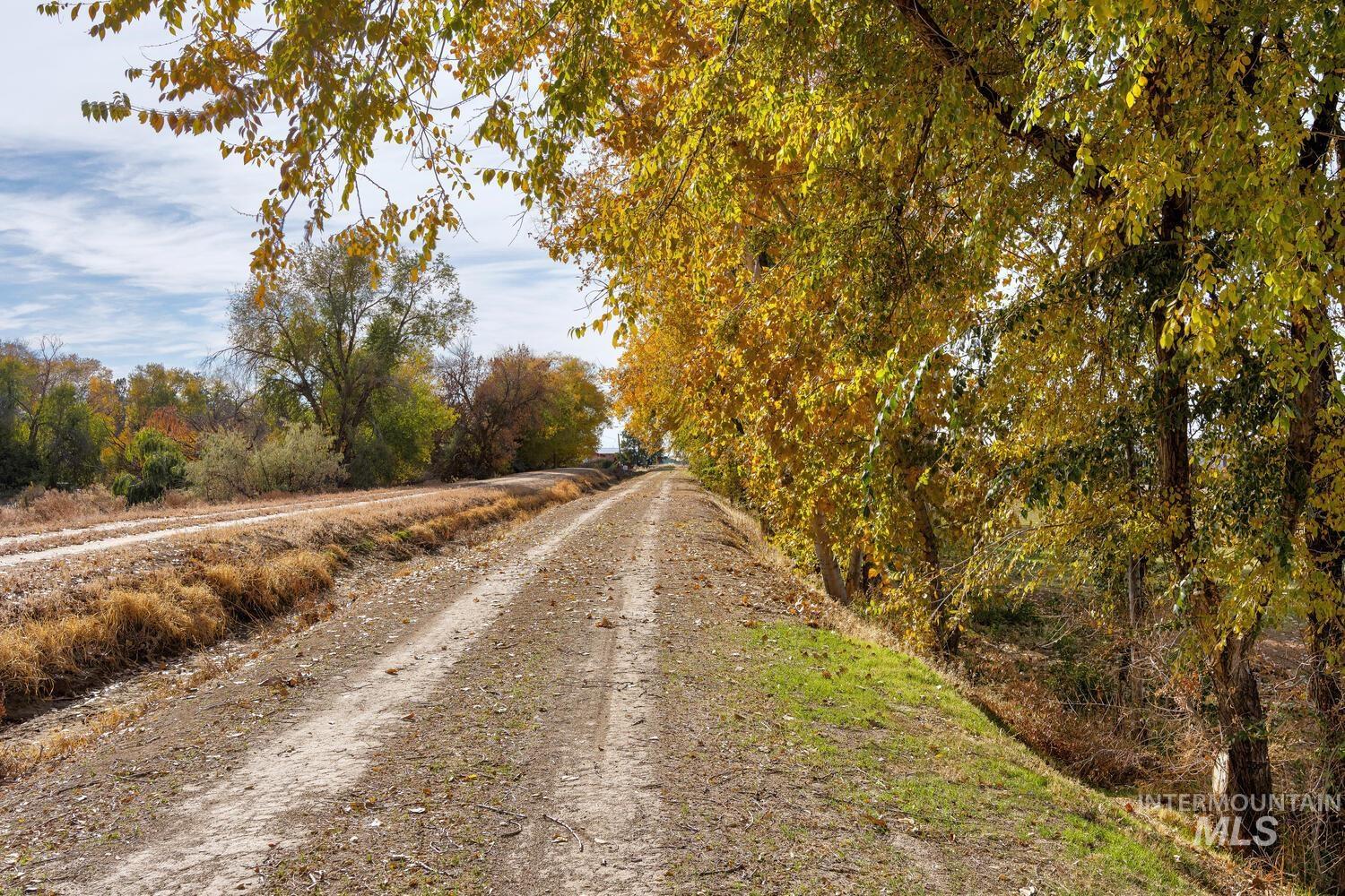 View of dirt / gravel road