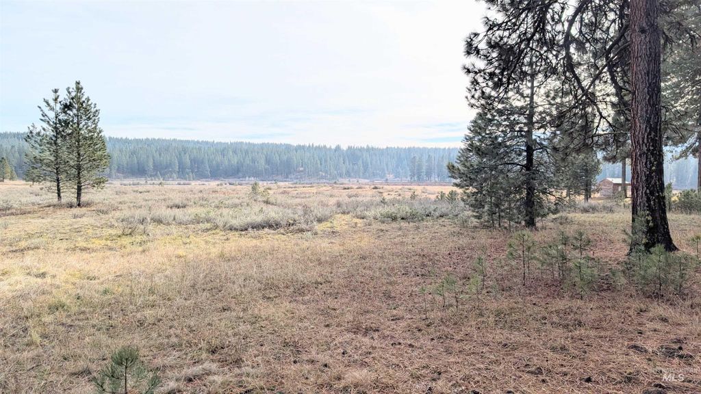 Photo of 22 Hack Ln, Idaho City, ID 83631 (MLS # 98970188)