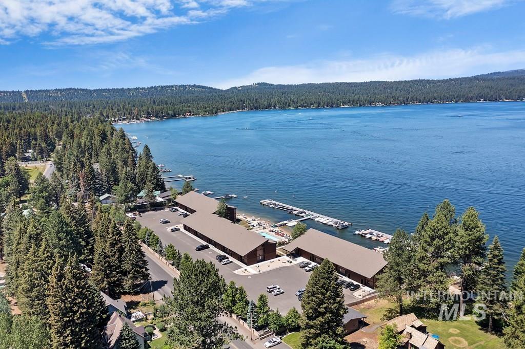 Bird's eye view of a heavily wooded area and a large body of water