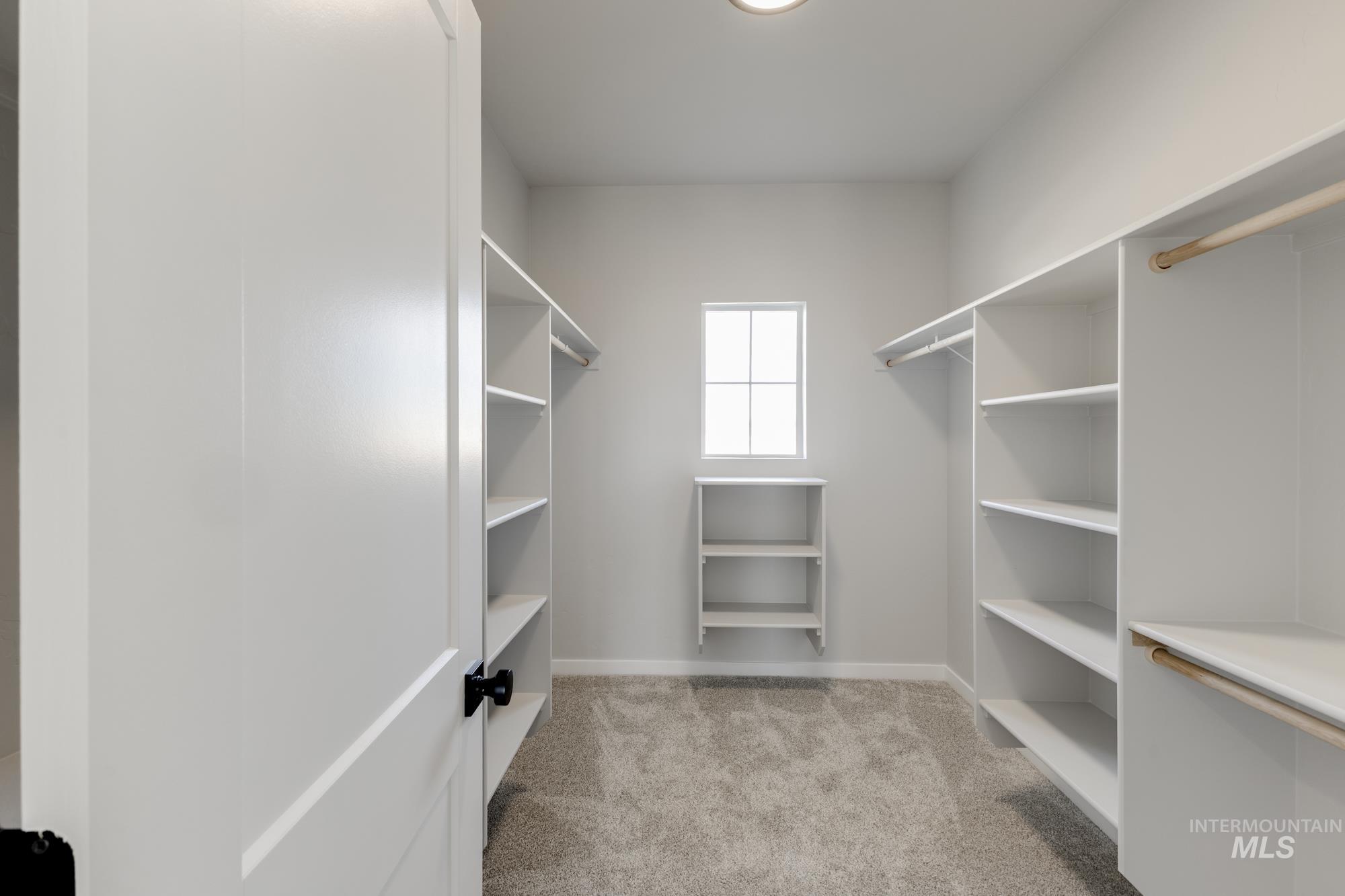 Spacious closet featuring light carpet