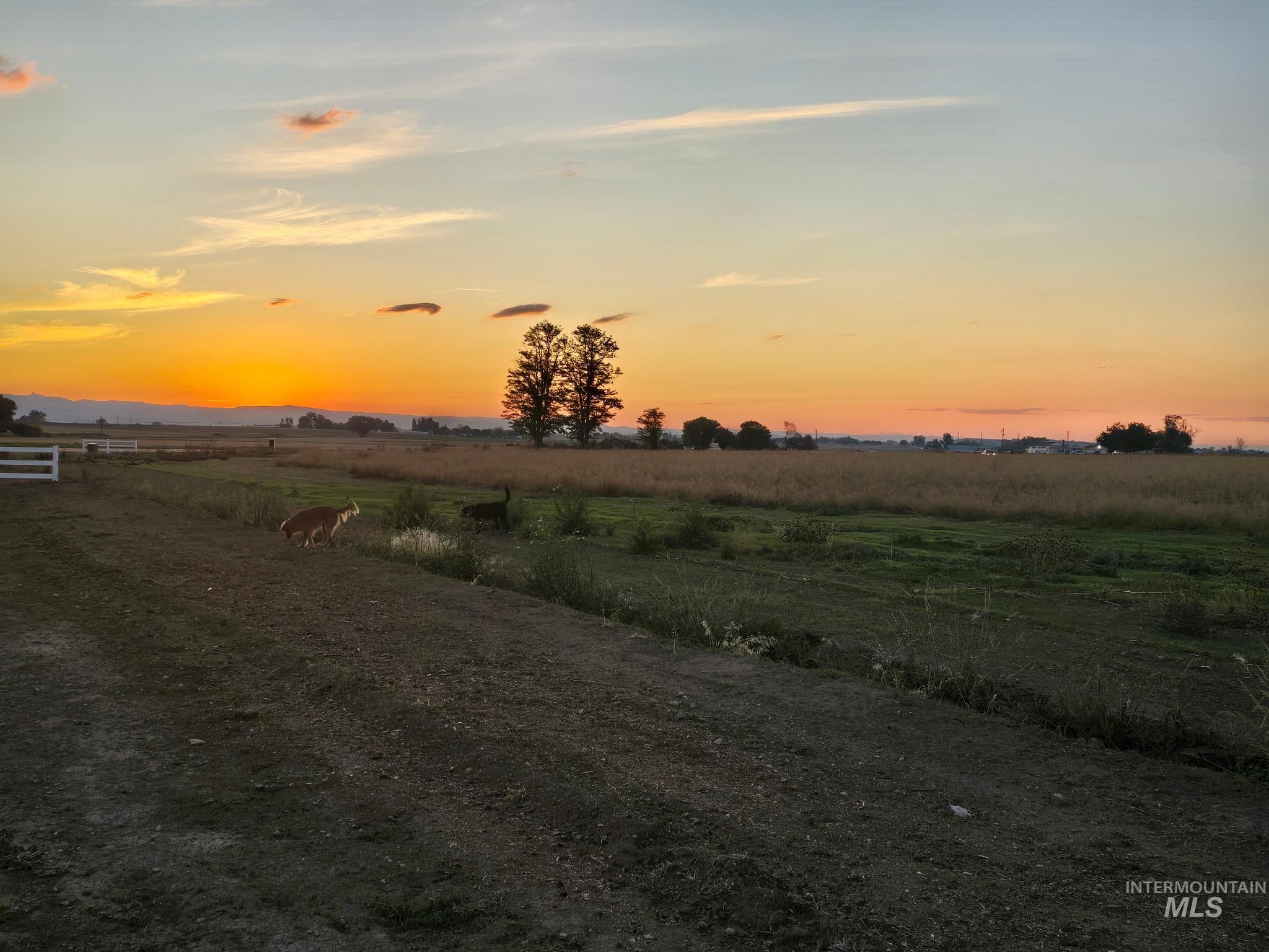 Yard at dusk featuring a view of rural / pastoral area