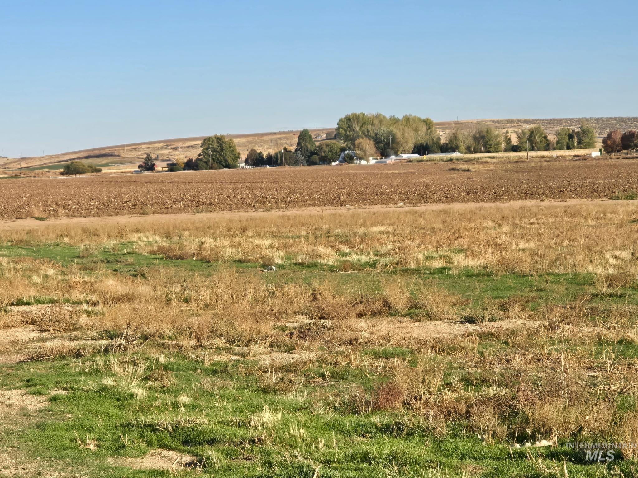 View of local wilderness with rural landscape