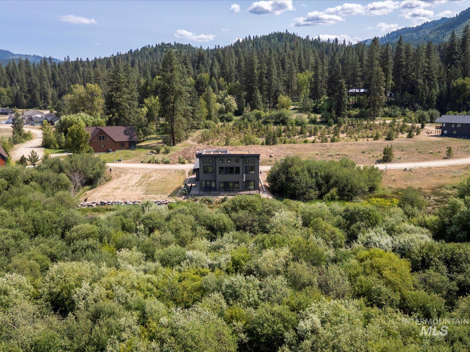 Bird's eye view of a forest