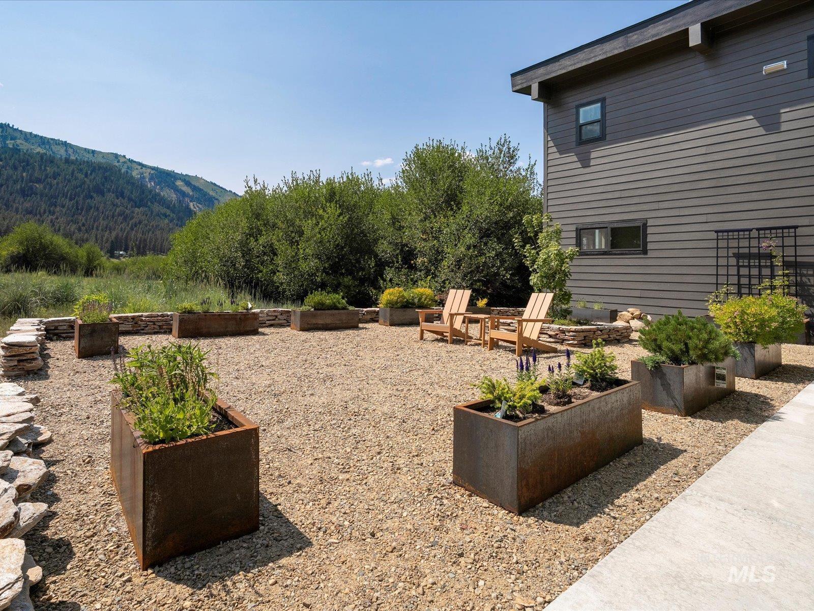 View of courtyard featuring herbs and planters