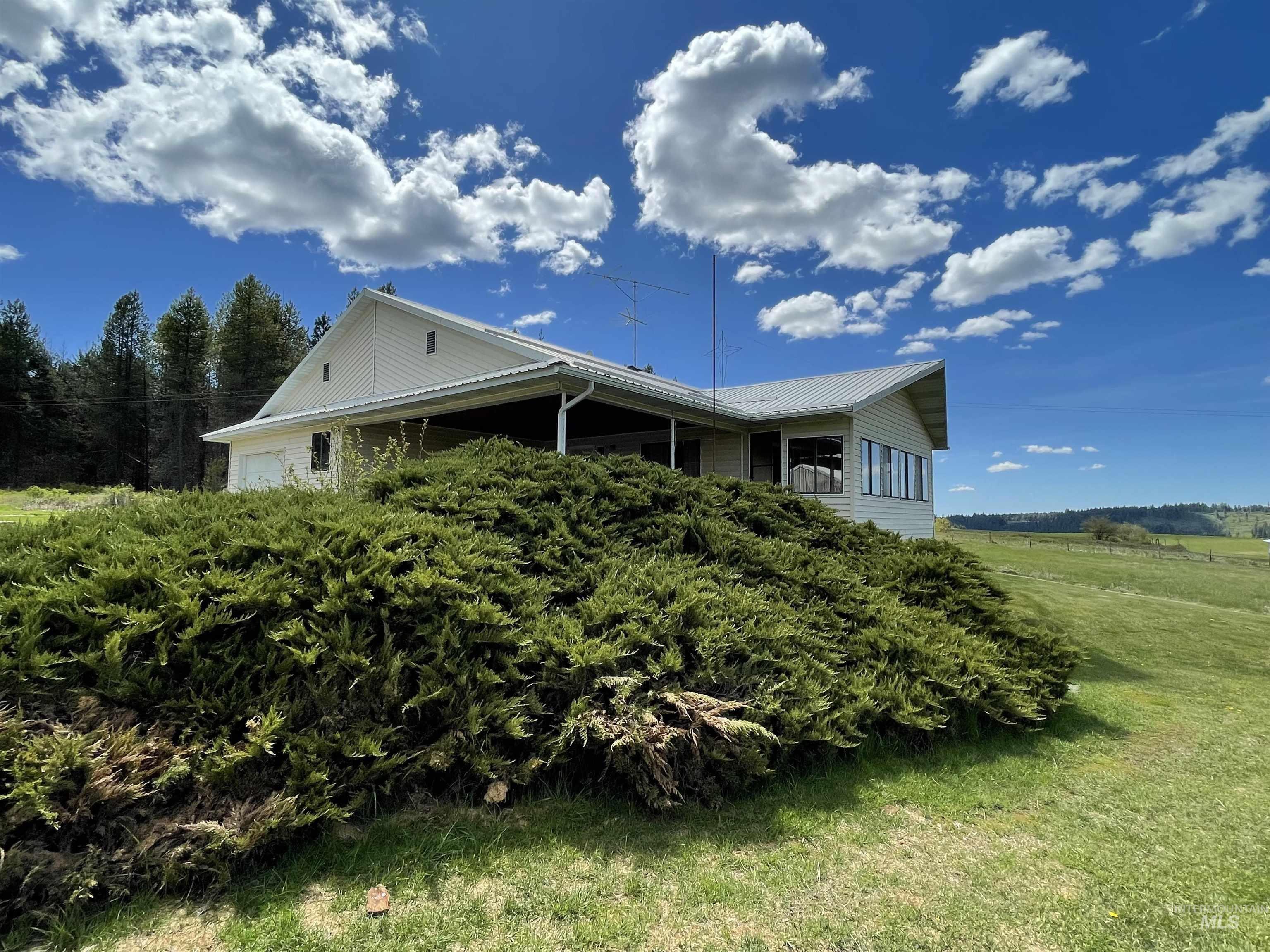 1081 Quartz Creek Road, Harvard, Idaho image 2