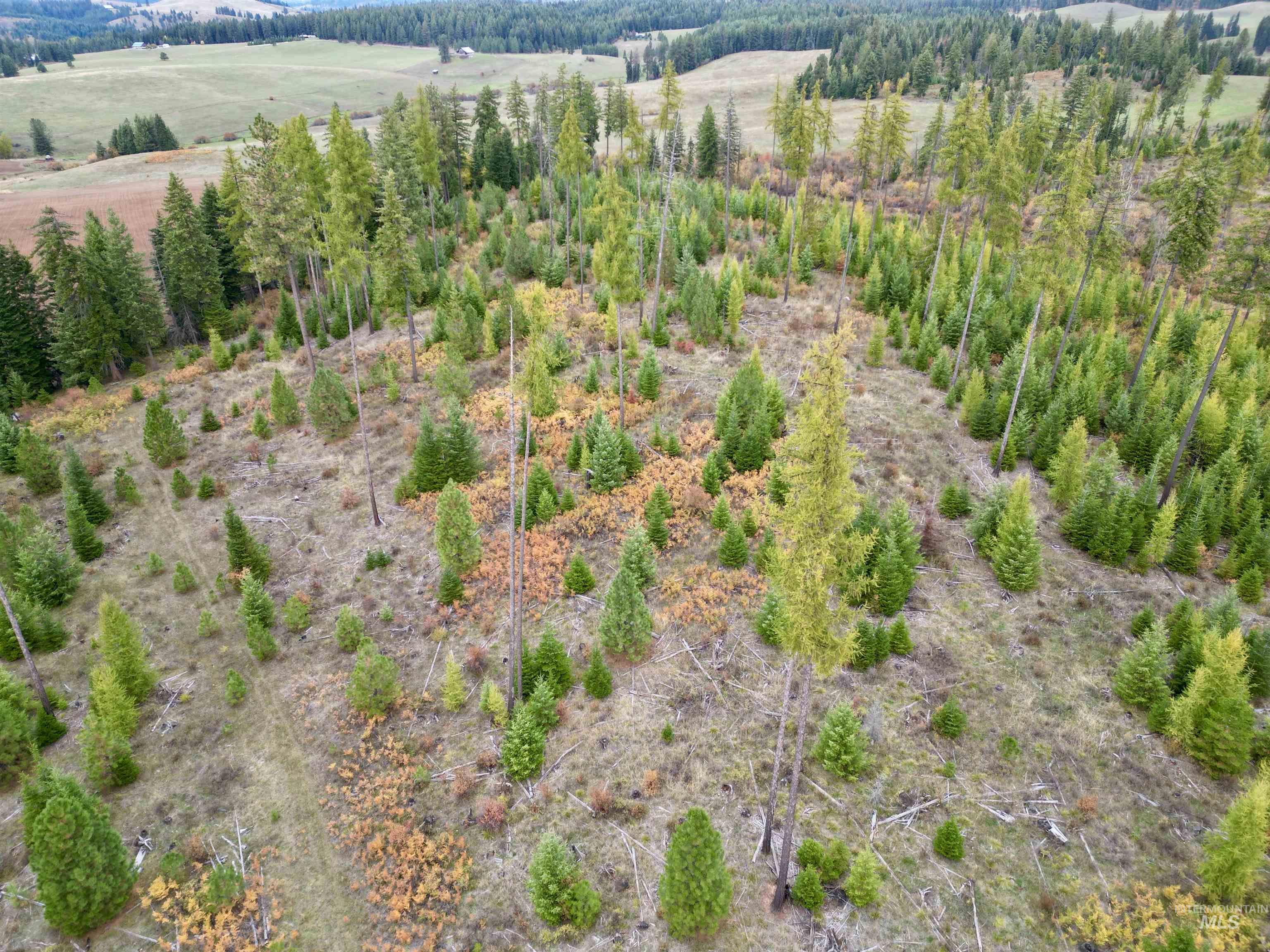 TBD Parcel 2 Peaceful Valley Rd