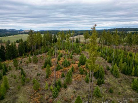 TBD Parcel 2 Peaceful Valley Rd Kamiah ID 83536
