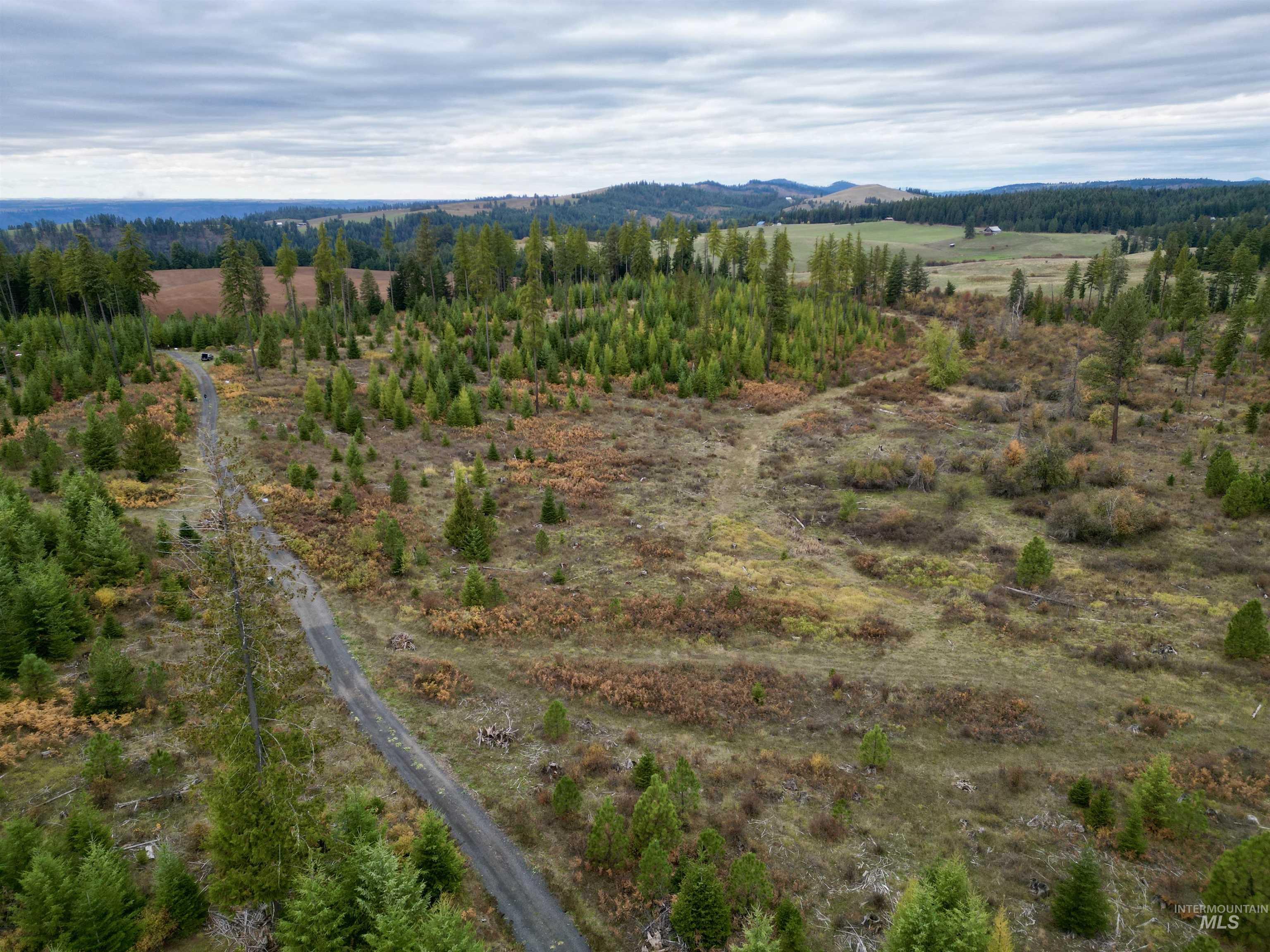 TBD Parcel 2 Peaceful Valley Rd