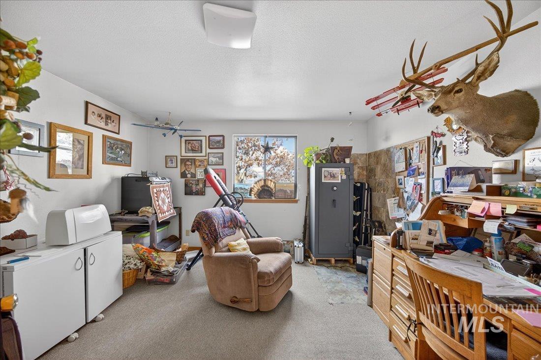 Office featuring light colored carpet, a textured ceiling, and a ceiling fan