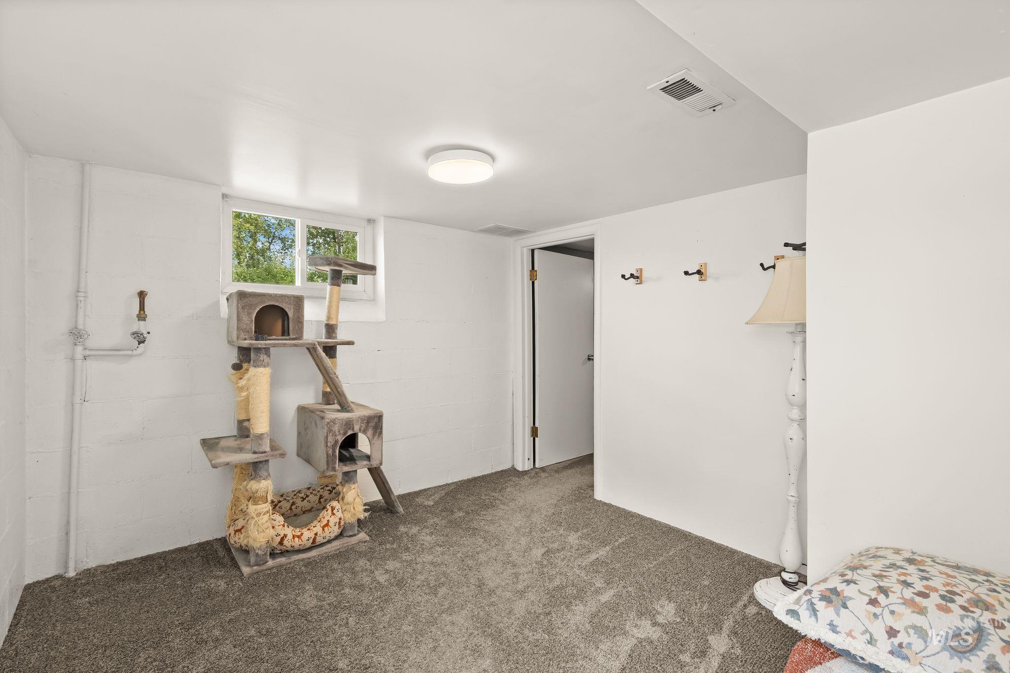Carpeted room featuring a white ceiling, recessed lighting, and a white-framed window