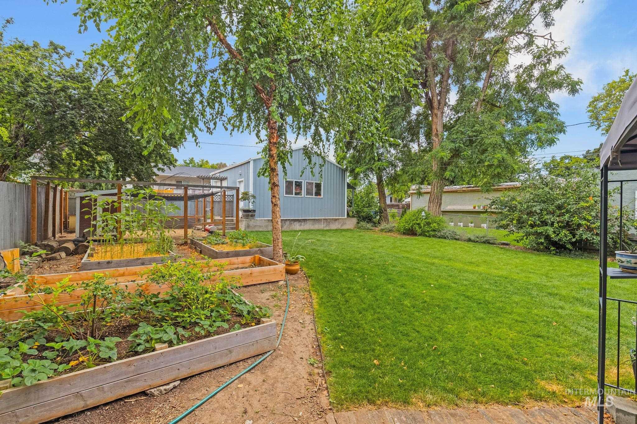 Expansive backyard featuring a lush lawn, established trees, multiple raised garden beds, a fenced garden area, and a detached structure with siding and windows