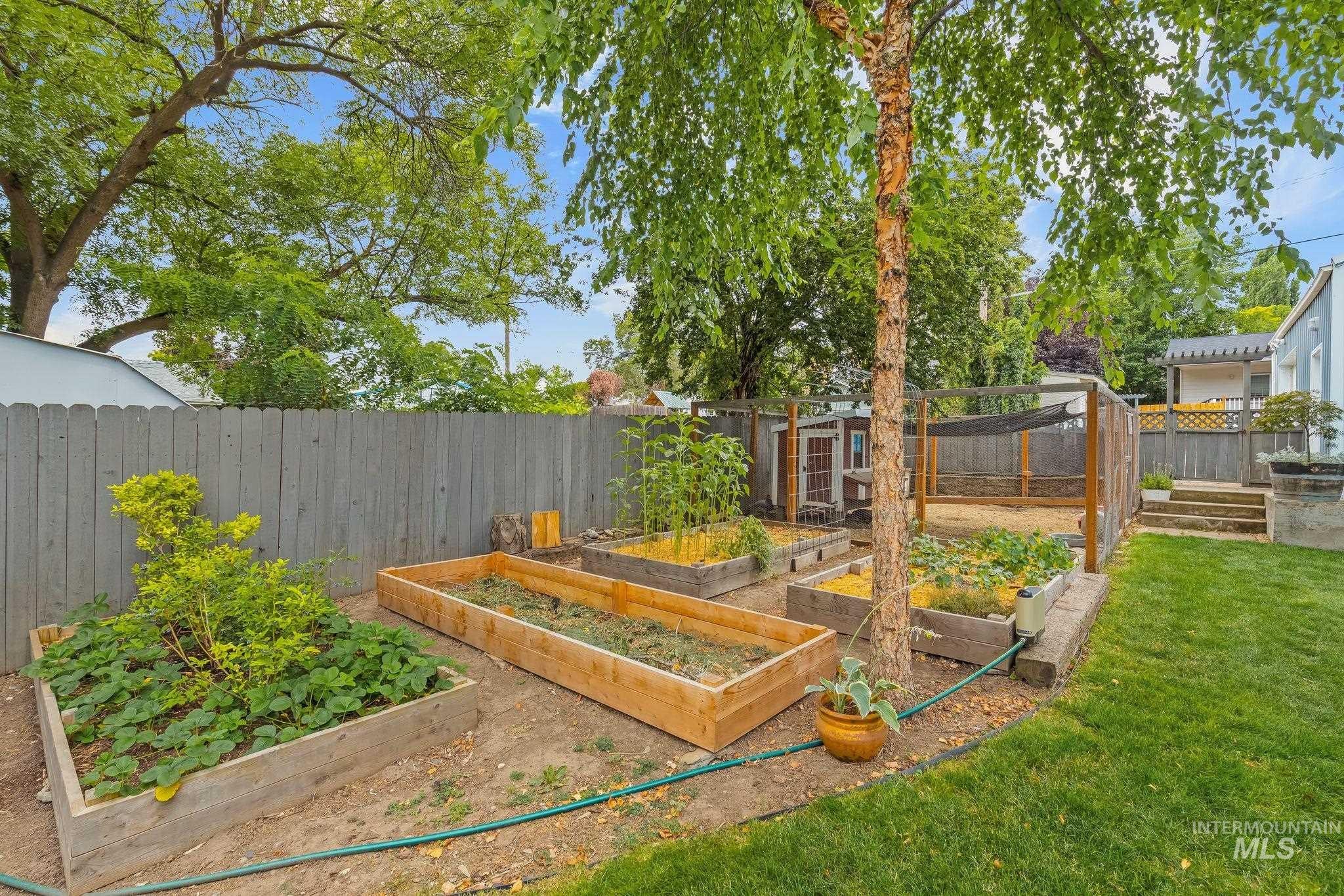Expansive backyard featuring multiple raised garden beds, a dedicated fenced area, mature trees, a manicured lawn, and a privacy fence
