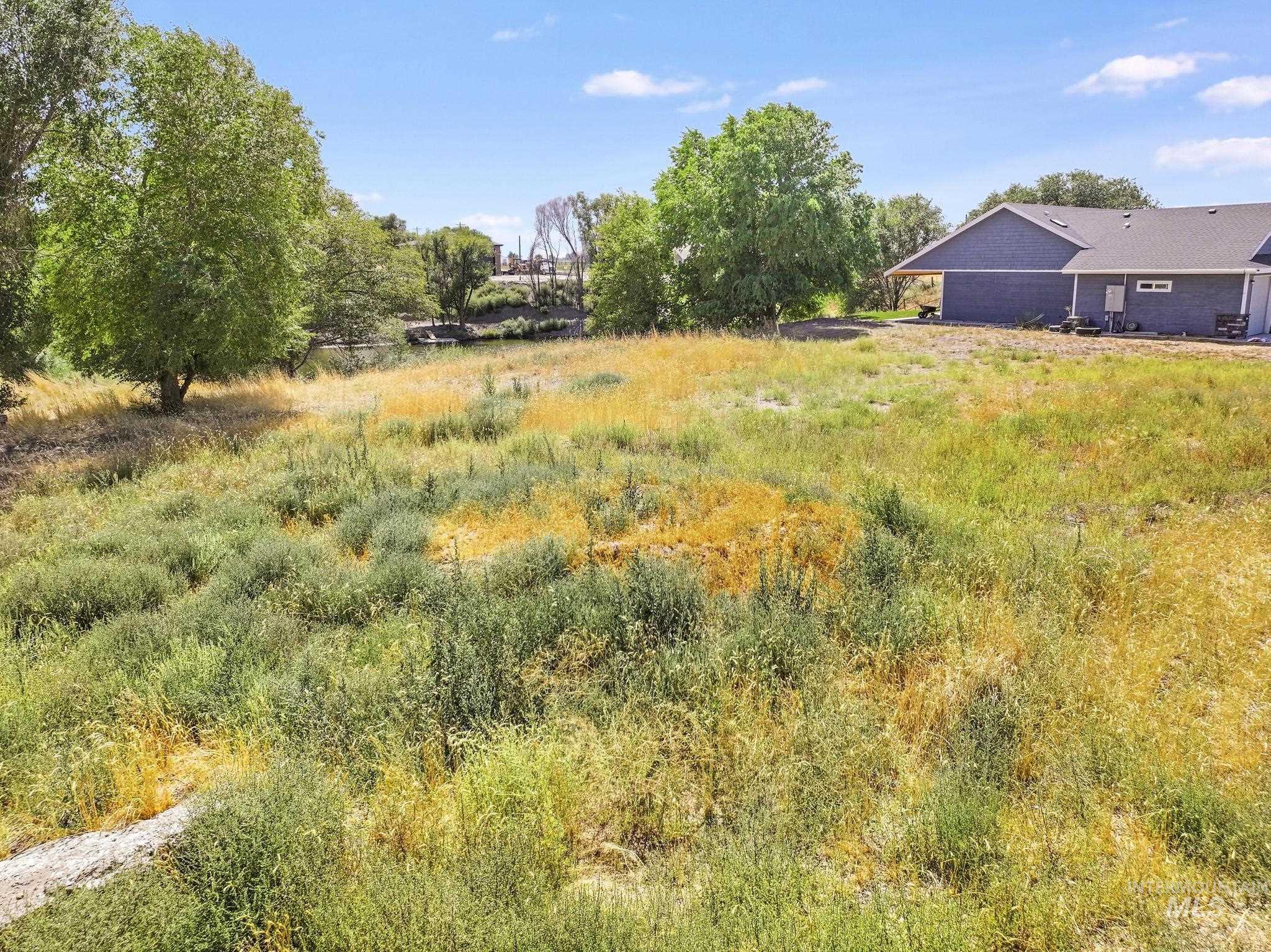 View of undeveloped land
