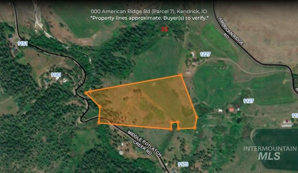 AMERICAN RIDGE RD 7, KENDRICK, ID 83537 - Image df807cd0788478a7238f22d78eee950e/3218646830