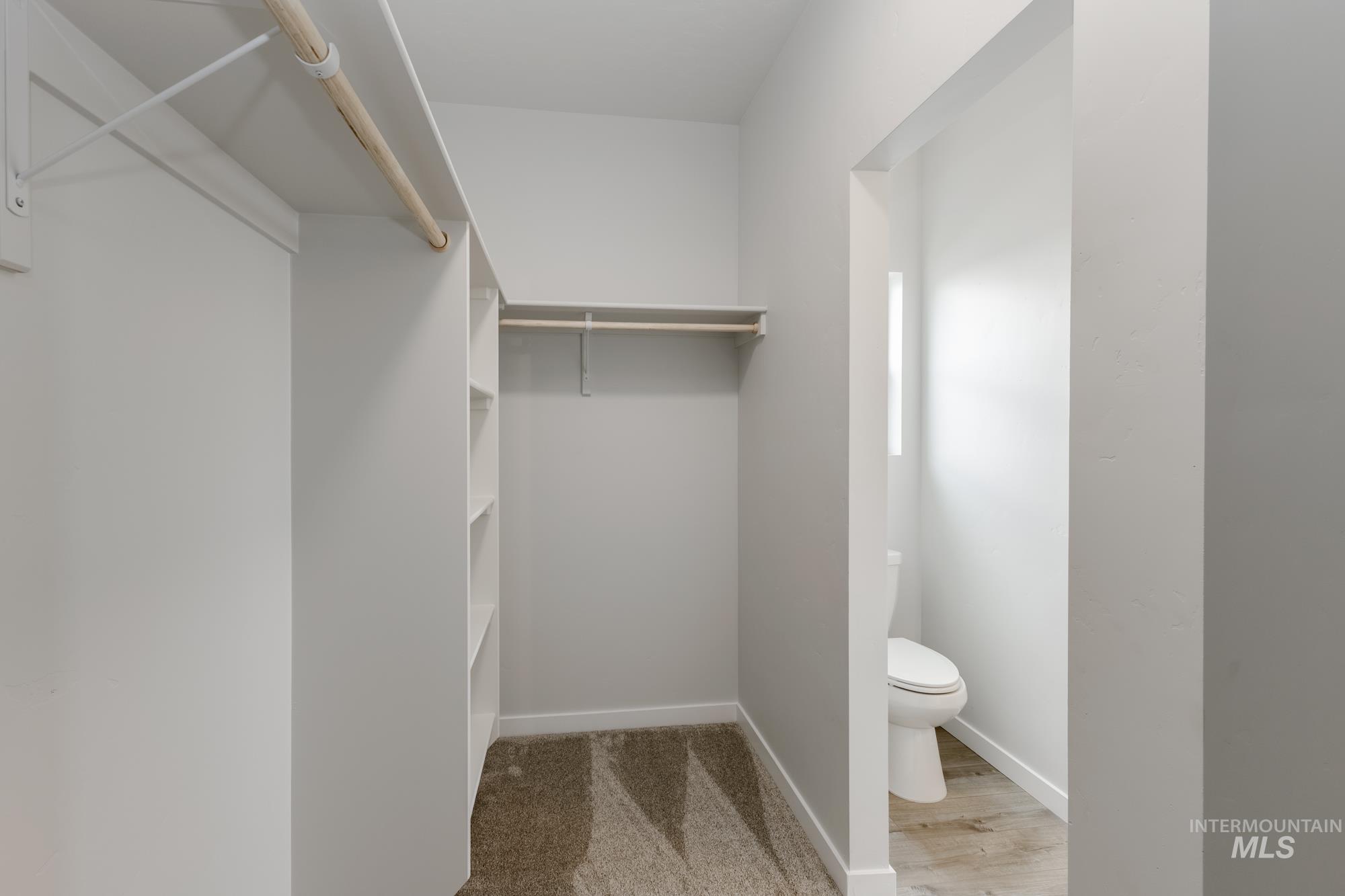 Walk in closet with light colored carpet