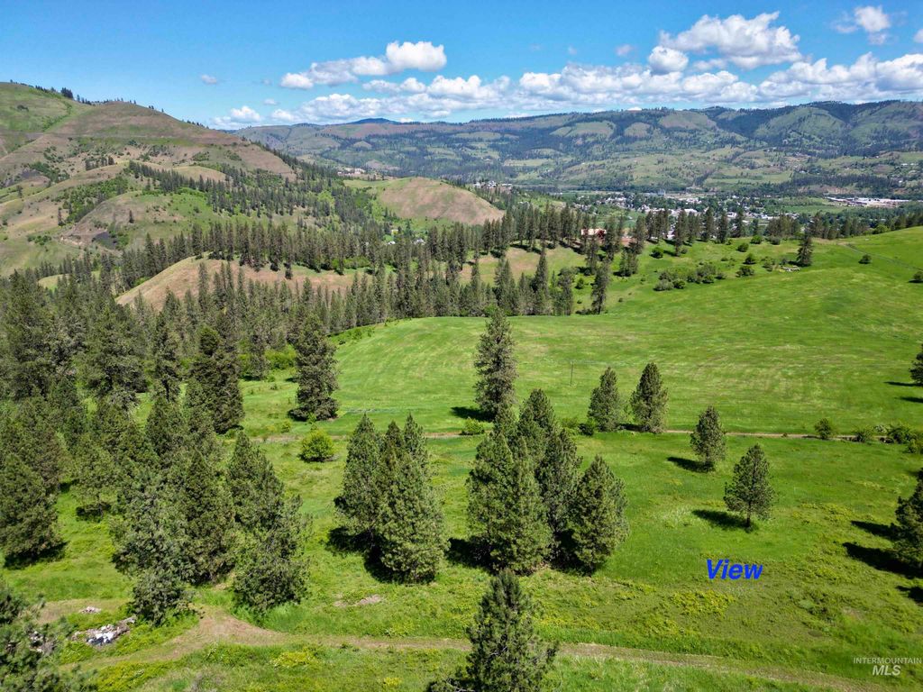 Photo of 2284 Hill Street, Kamiah, ID 83536 (MLS # 98987561)