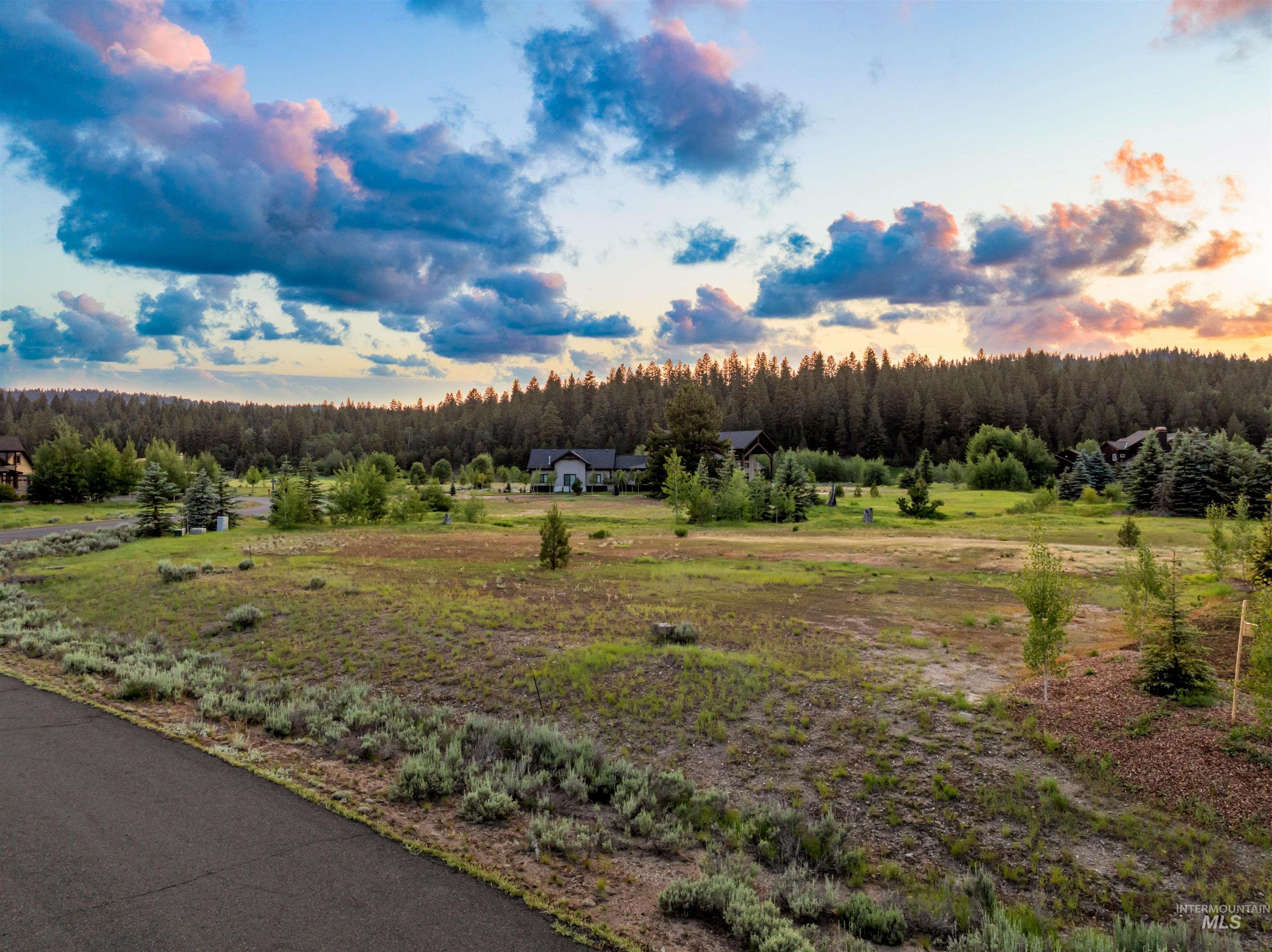 View of yard with a forest view