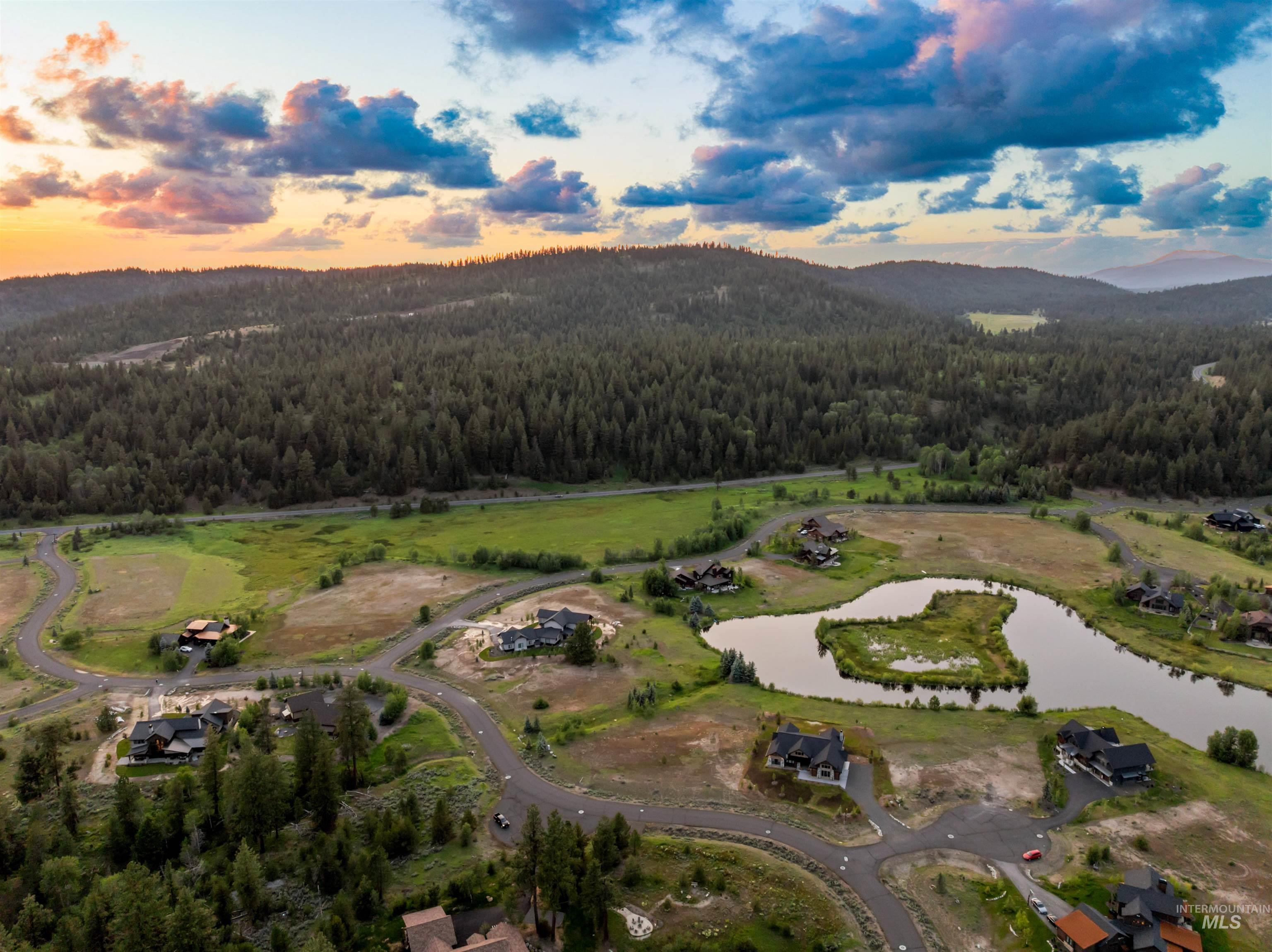 Aerial view at dusk of a forest view and a water and mountain view