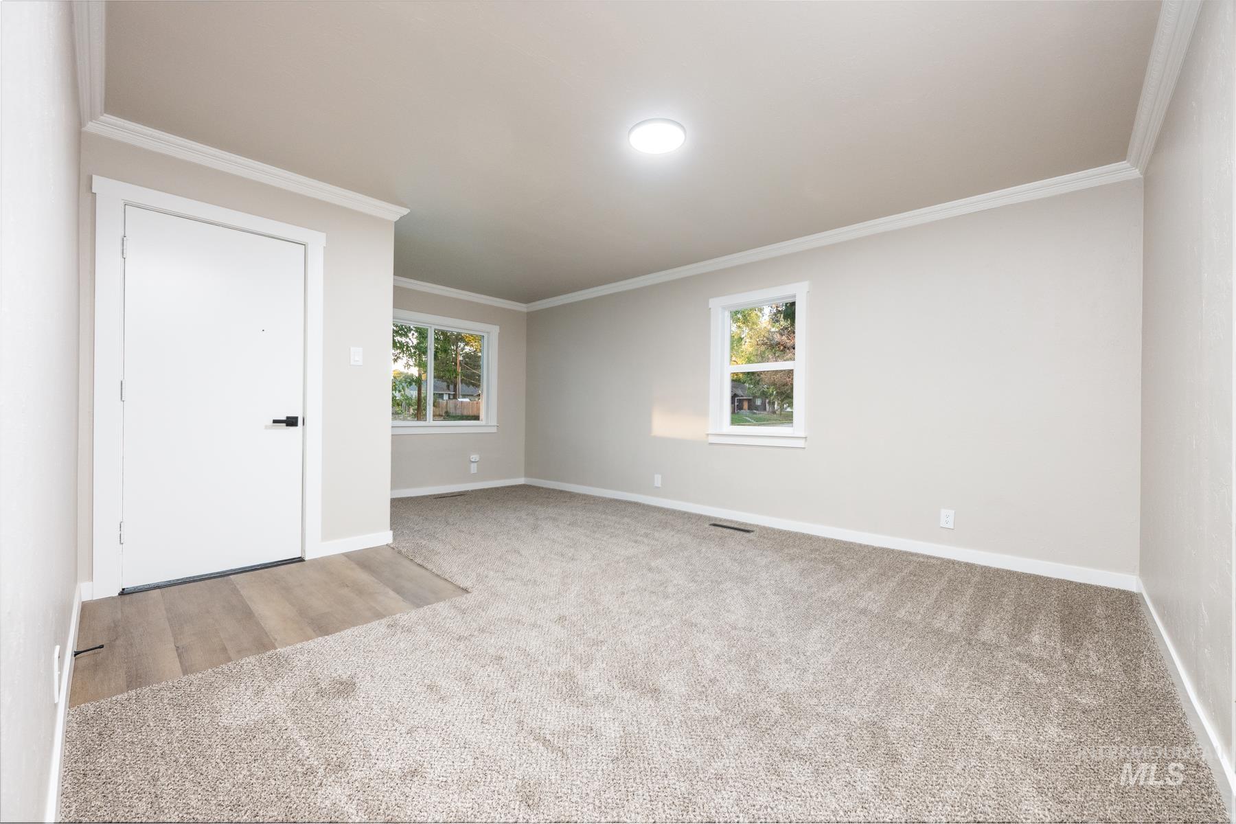 Room with crown molding and light carpet