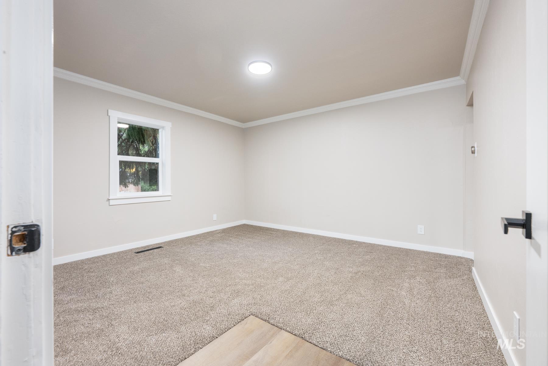 Room with light carpet and crown molding