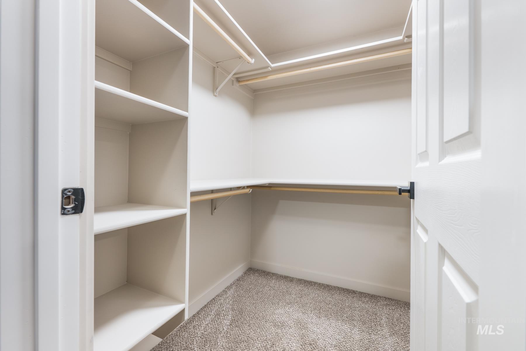Walk in closet with light colored carpet