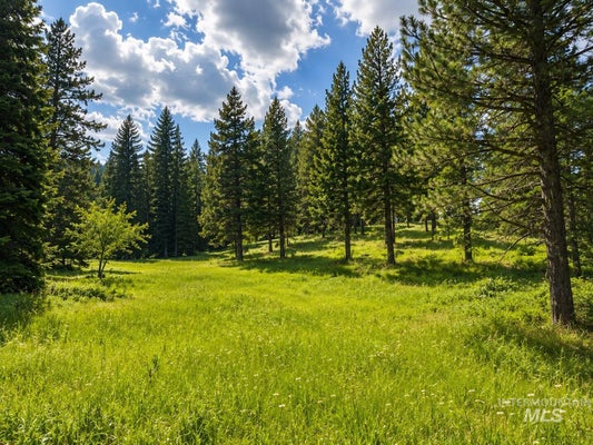 SANGSTER RD, ANATONE, WA 99401 - Image e0a2fa0929add5efb4a24e107121e92d/816521583