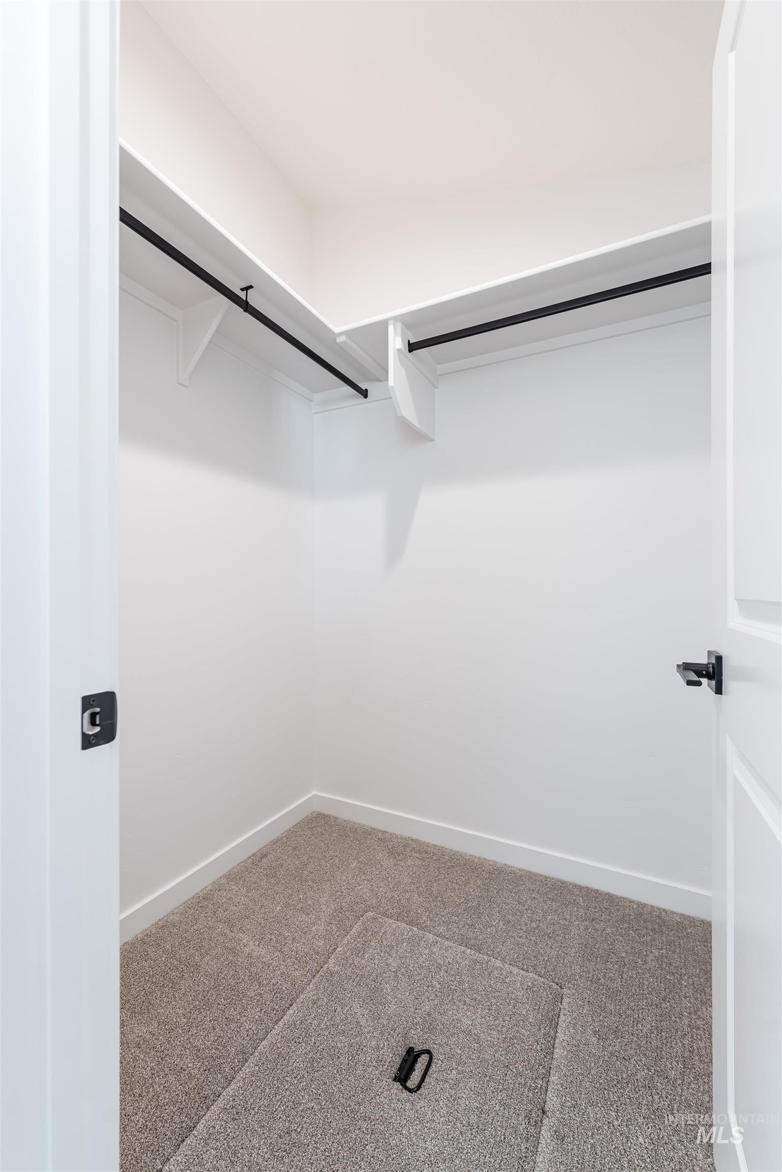 Spacious closet featuring carpet flooring