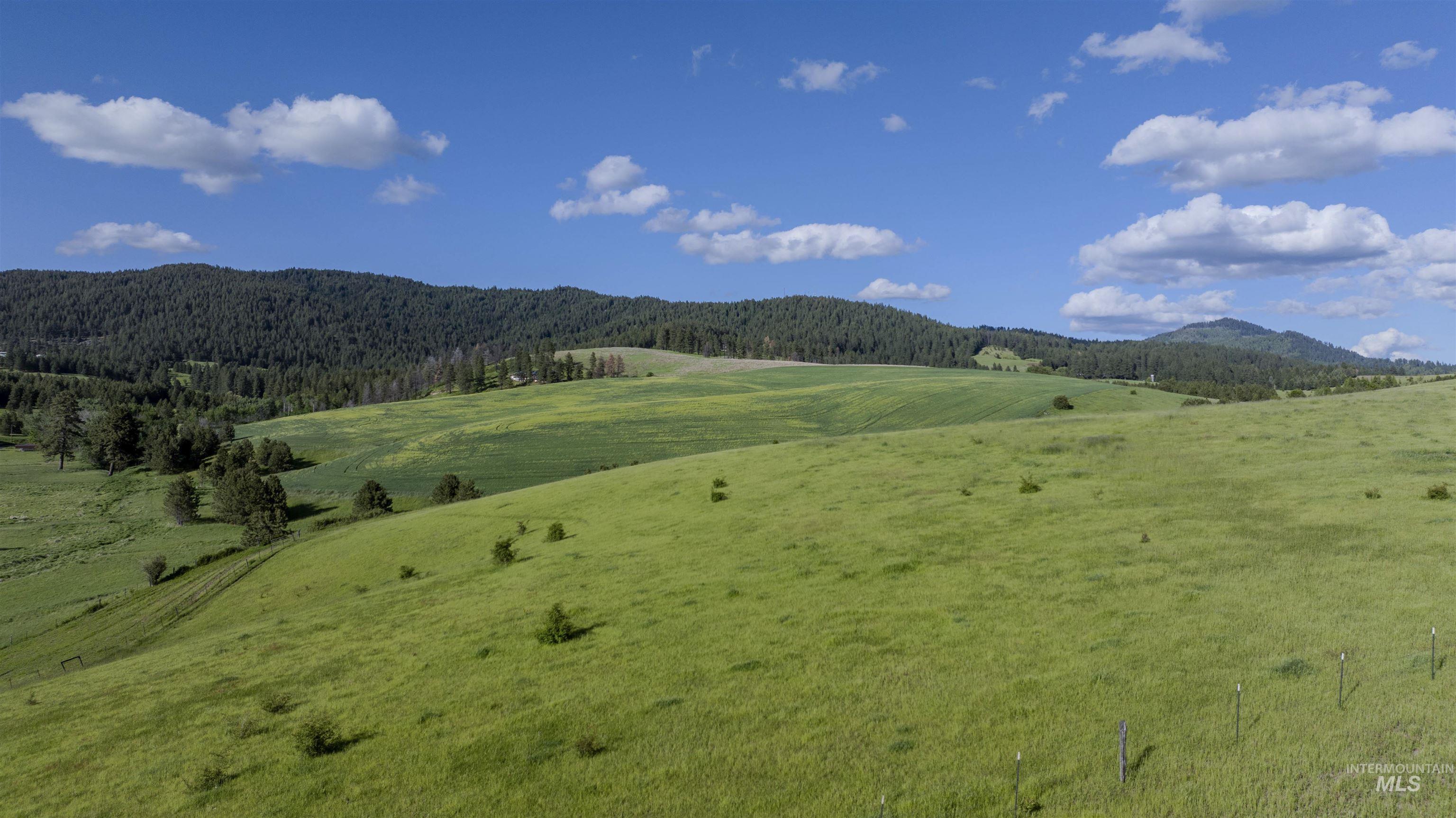 000 Idlers Rest Rd/schultz Rd, Moscow, Idaho image 6