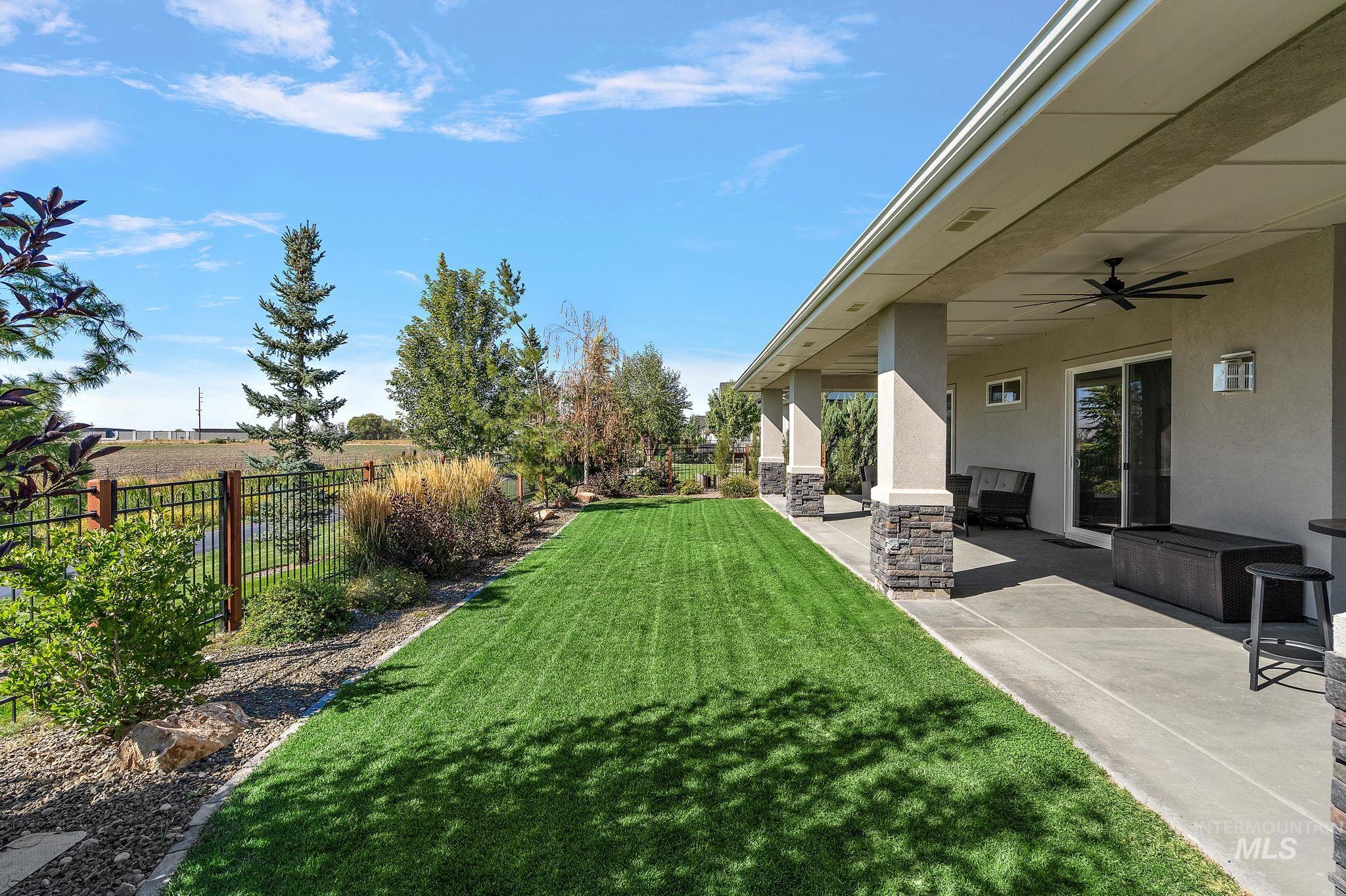 View of yard with a patio and a ceiling fan