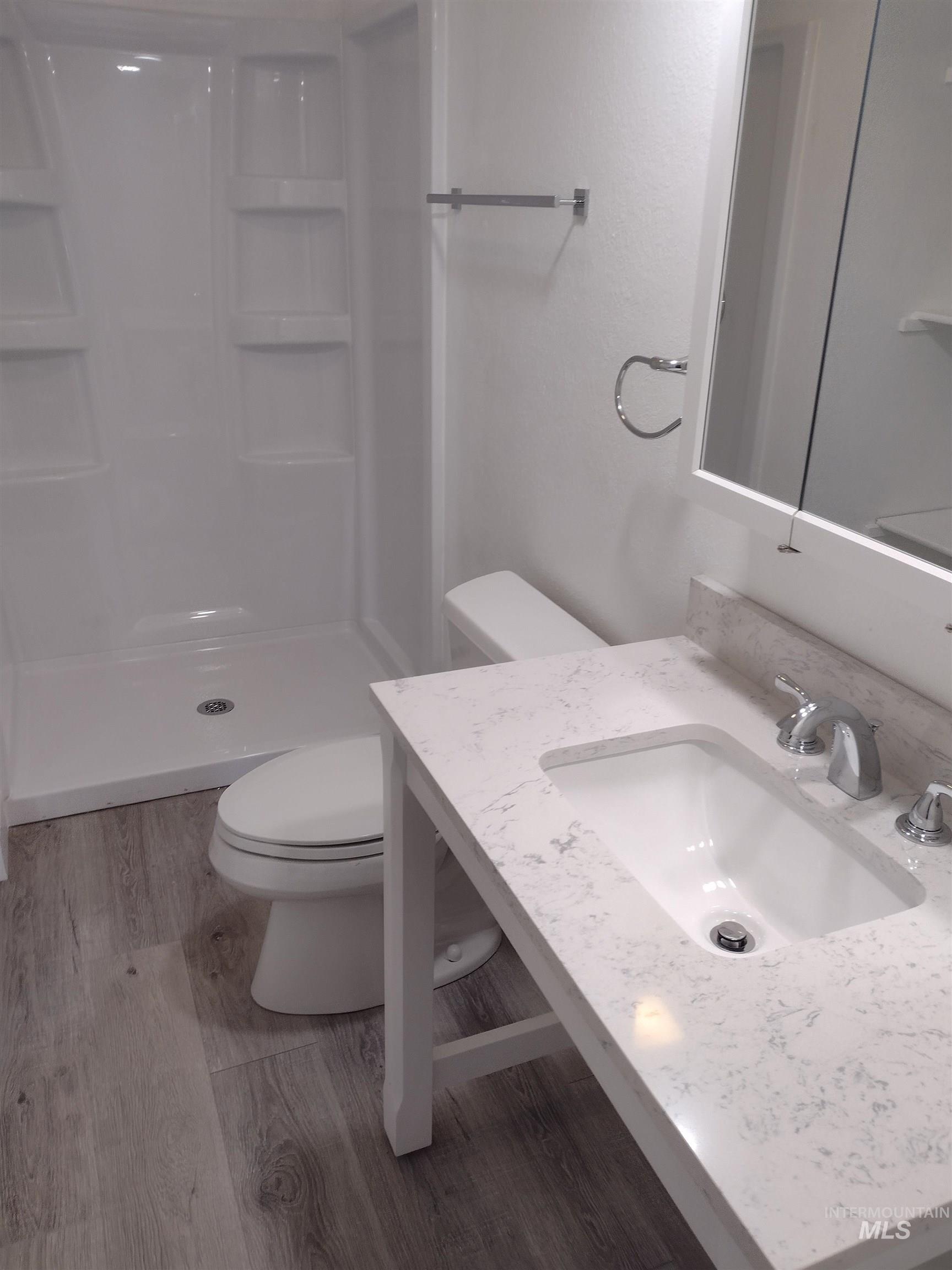 Full bath featuring light wood-style flooring, vanity, and a shower stall