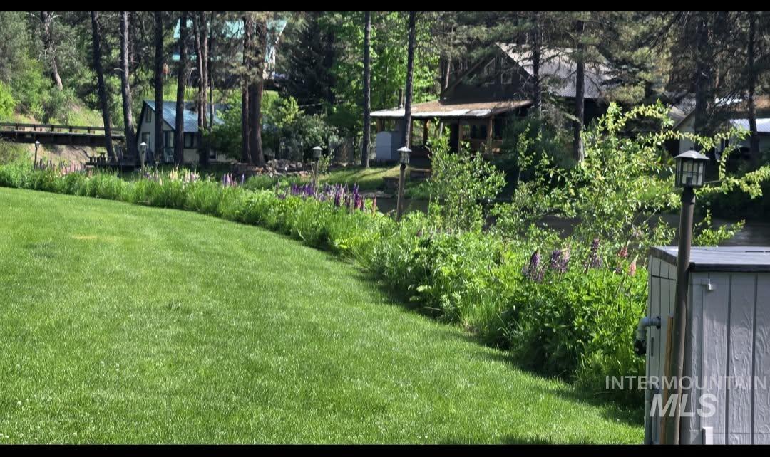 View of green lawn featuring view of scattered trees