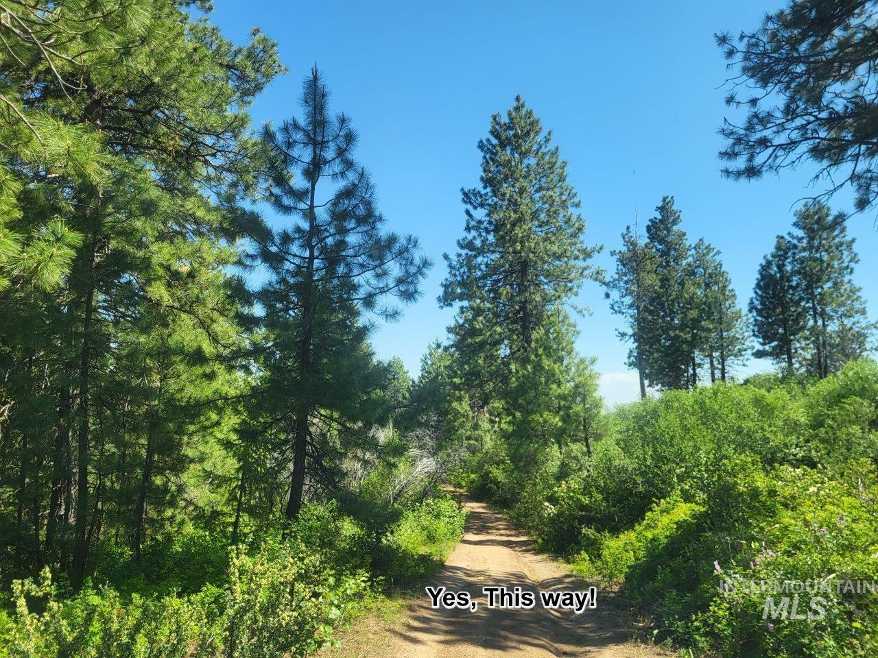Lots 1 & 2 Wilderness Ridge Rd