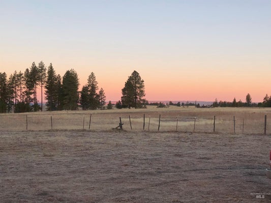 BILLY CREEK RD, COTTONWOOD, ID 83522 - Image e28b34ef442ff49eada2e82fed62bf6b/2170584625