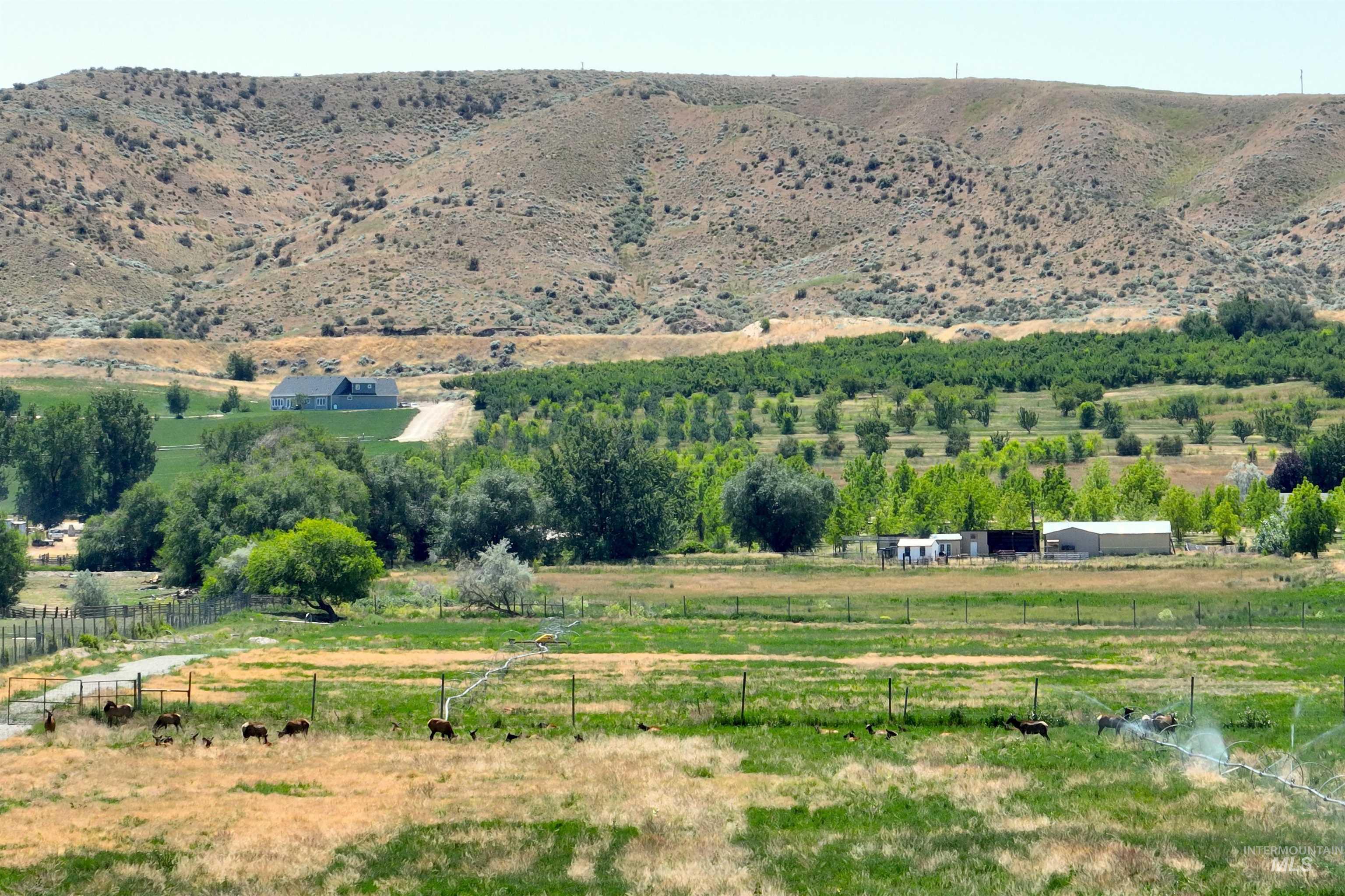 View of mountain background featuring rural landscape