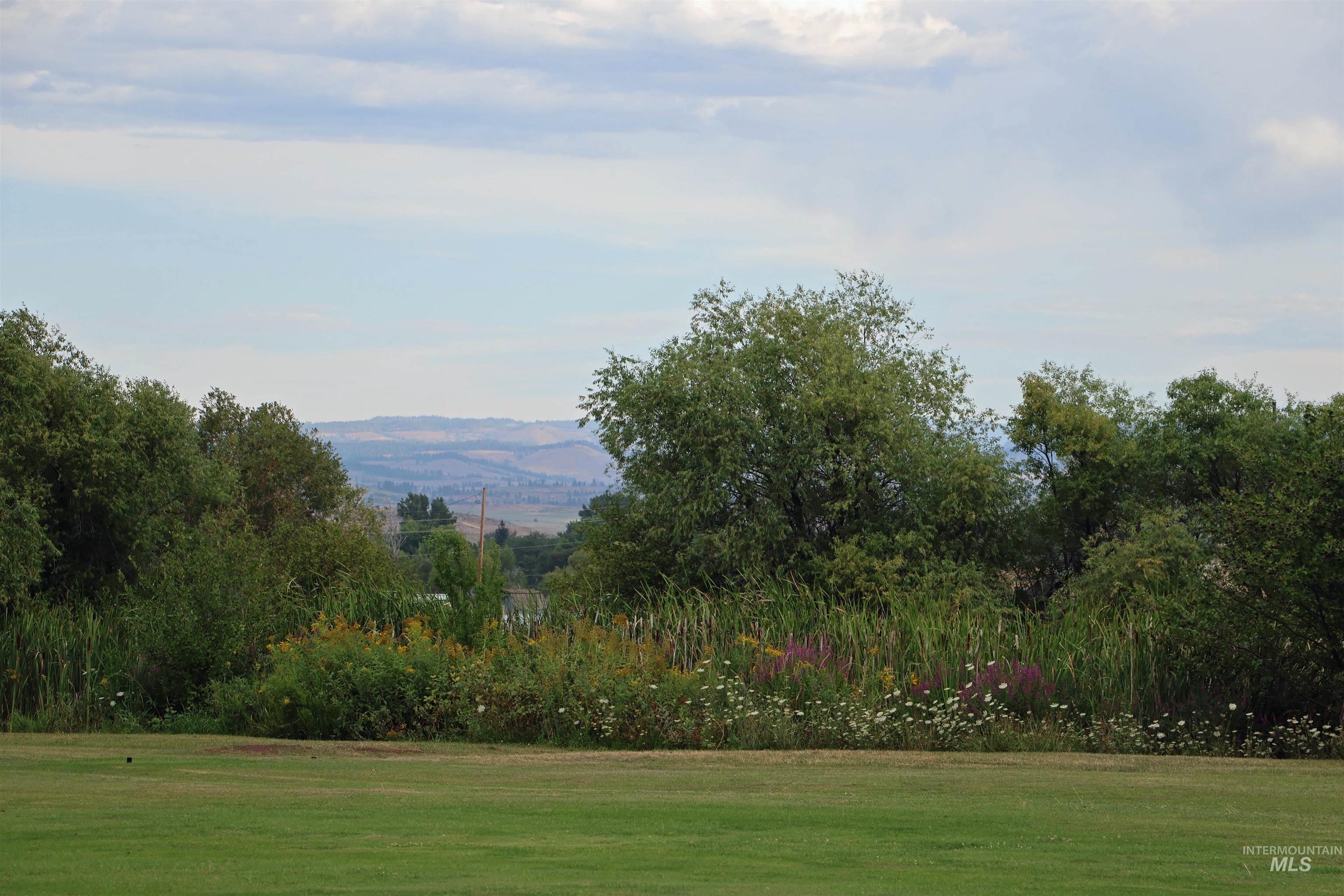 View of property's community with a yard
