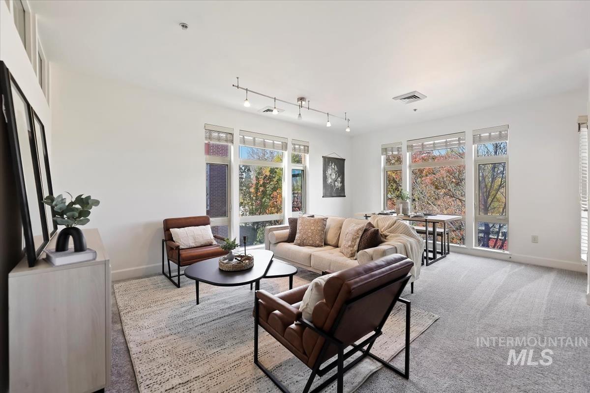 Living area featuring carpet and track lighting