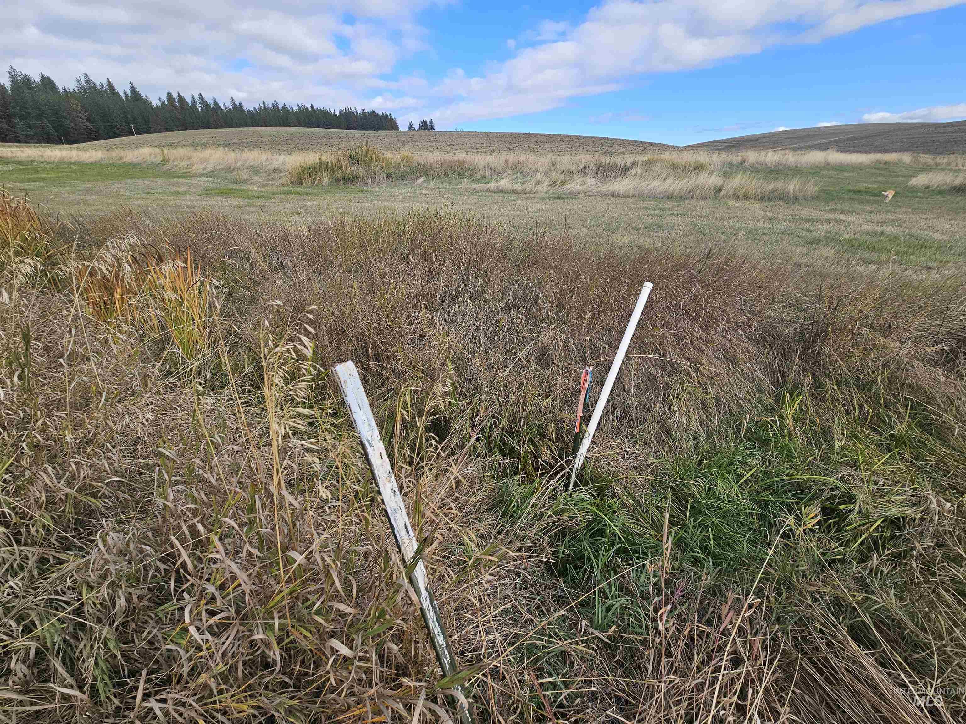 TBD Brown Rd, Parcel 1